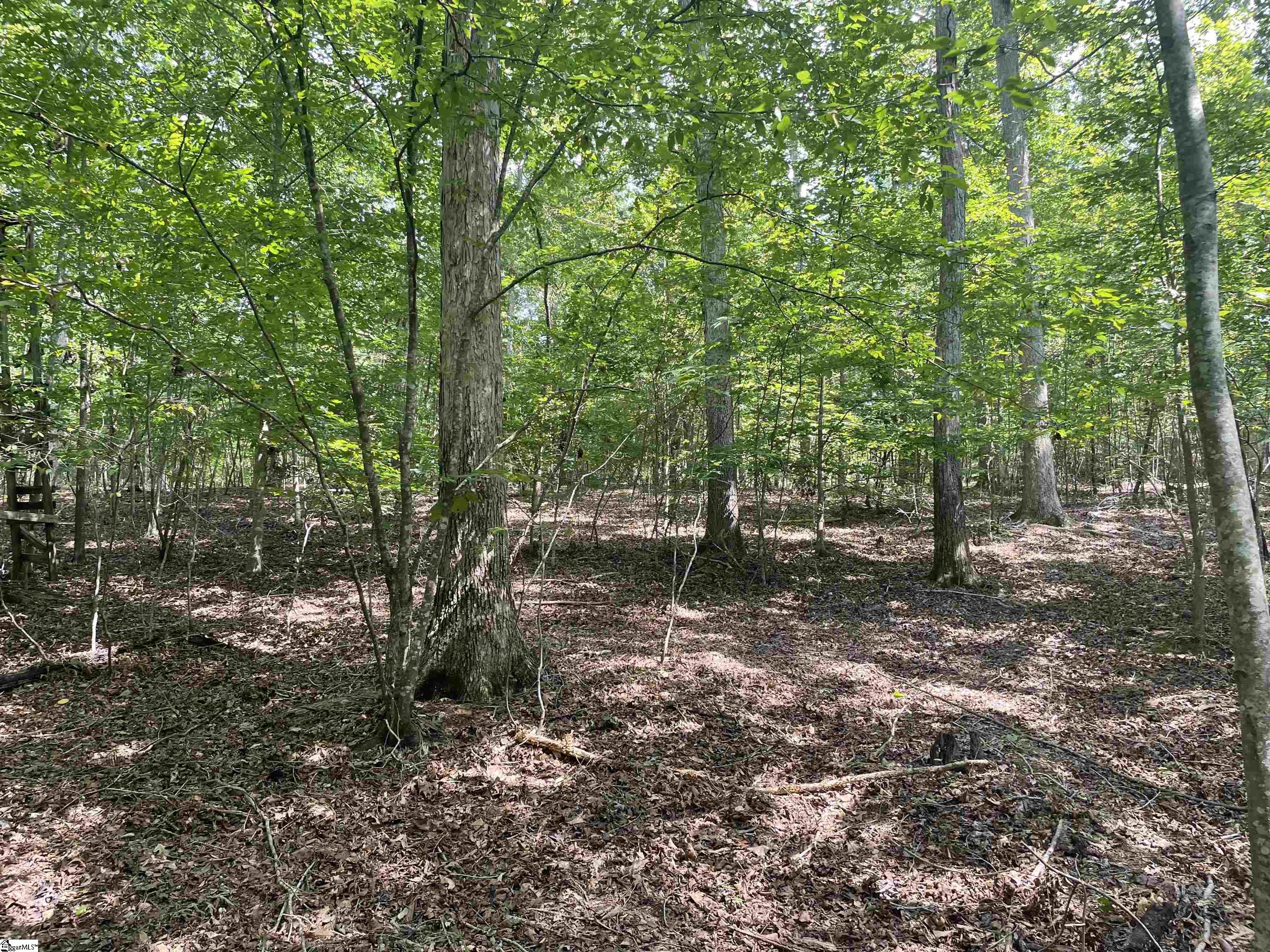 00 River Road Piedmont, SC 29673