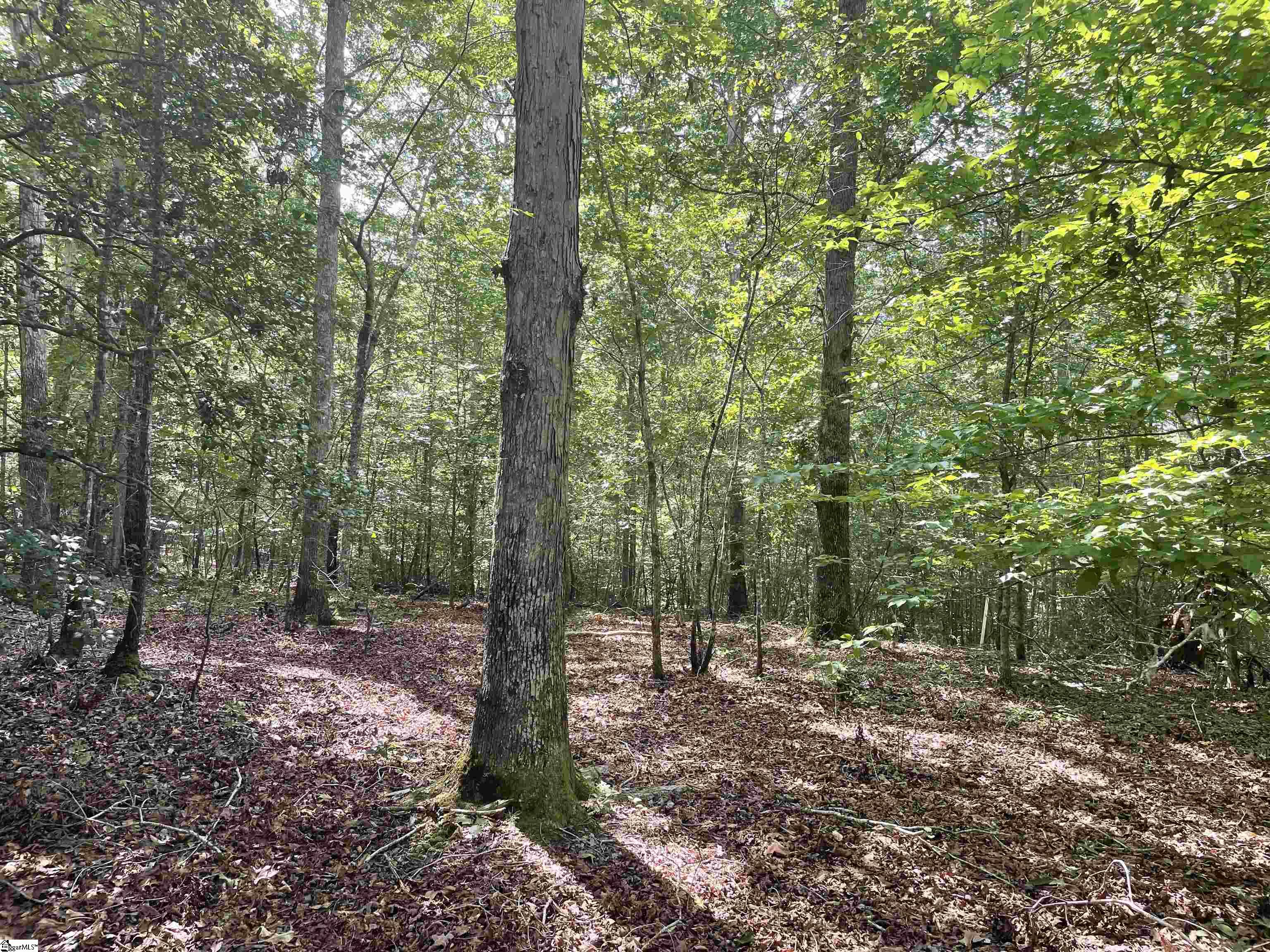 00 River Road Piedmont, SC 29673