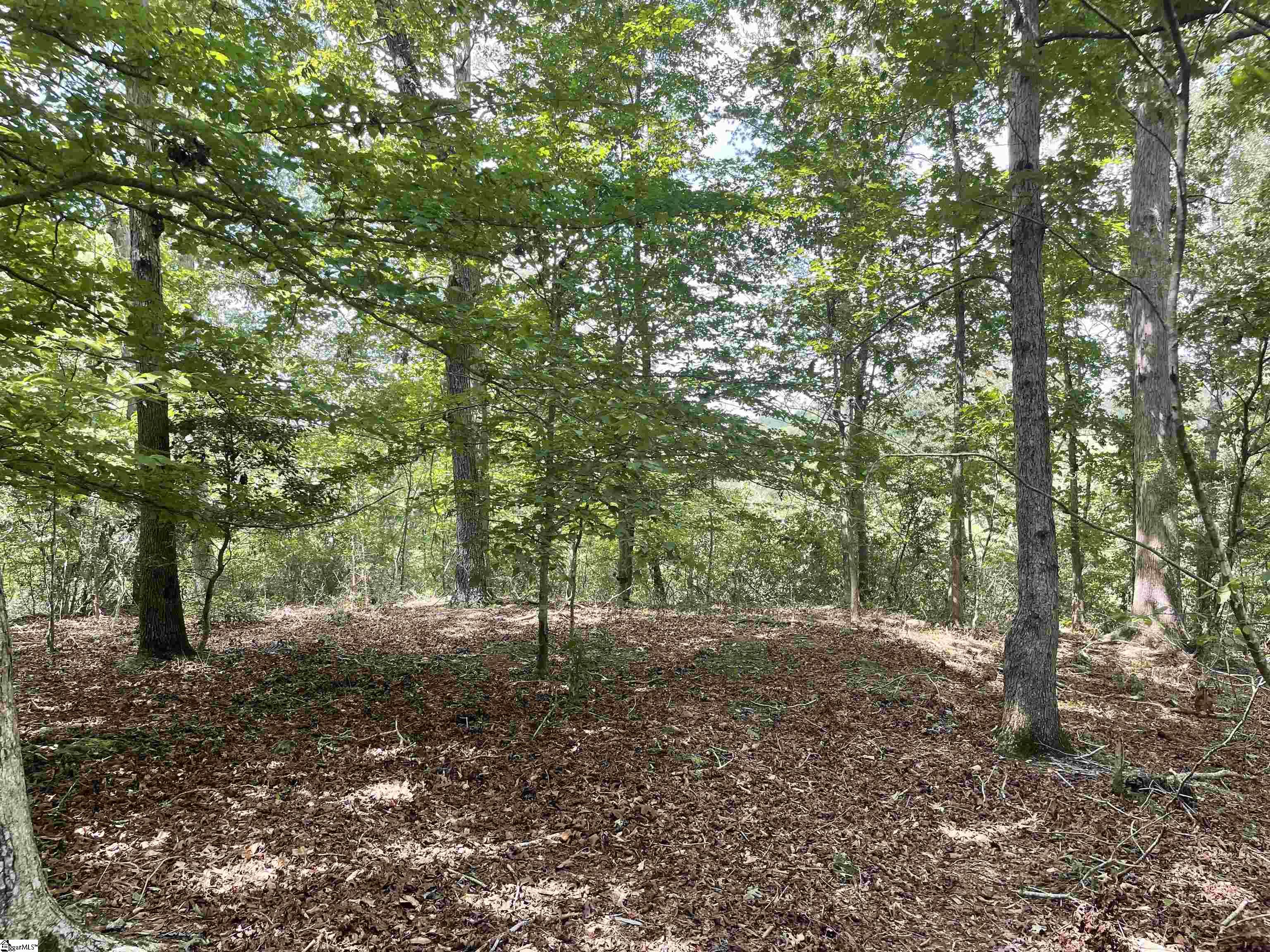 00 River Road Piedmont, SC 29673