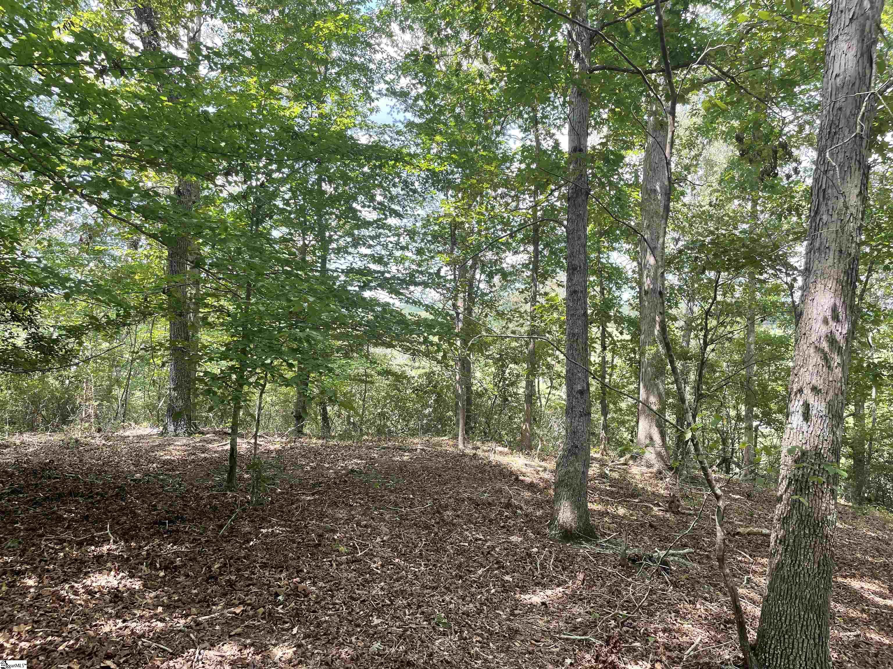 00 River Road Piedmont, SC 29673