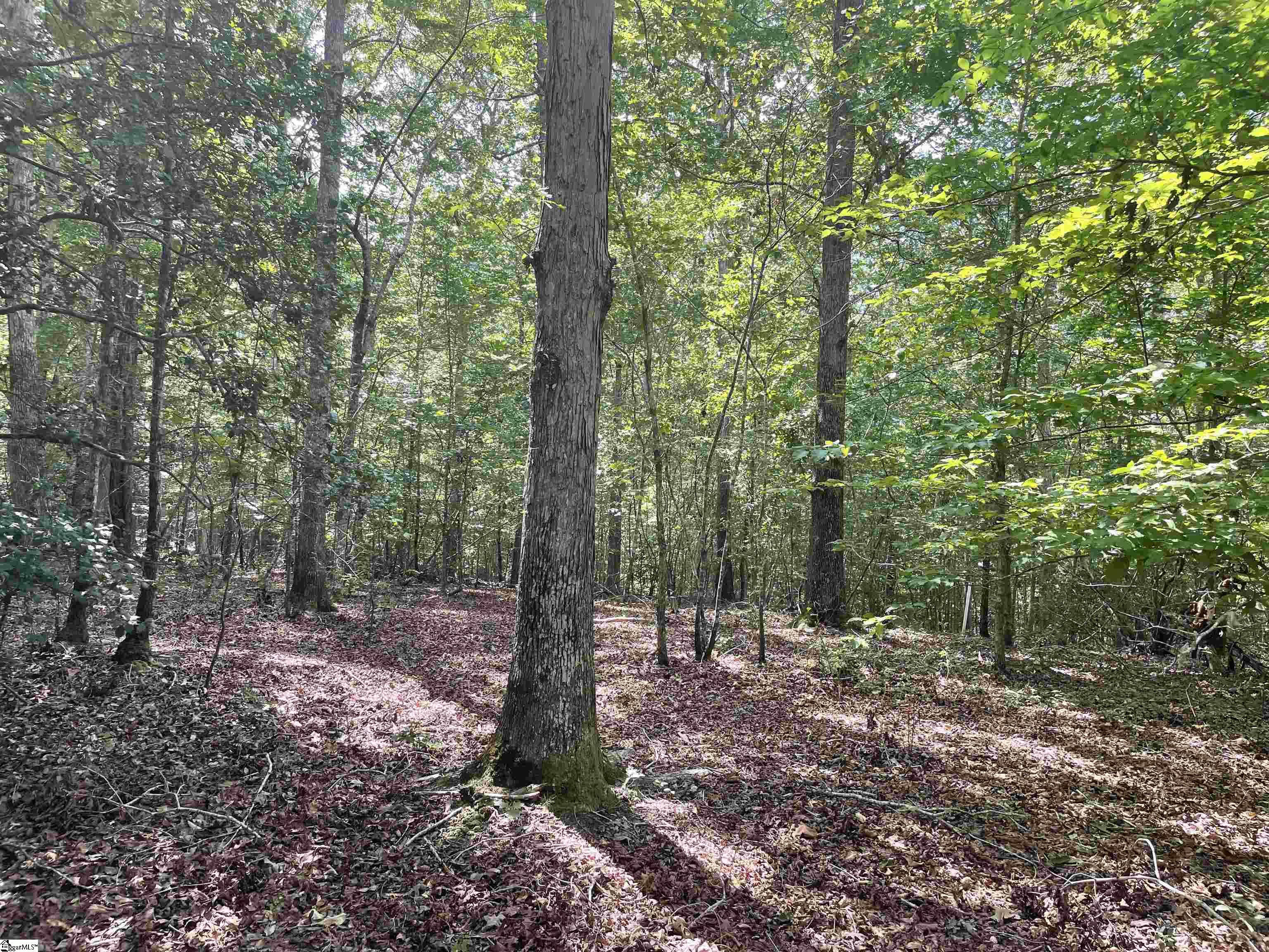 00 River Road Piedmont, SC 29673