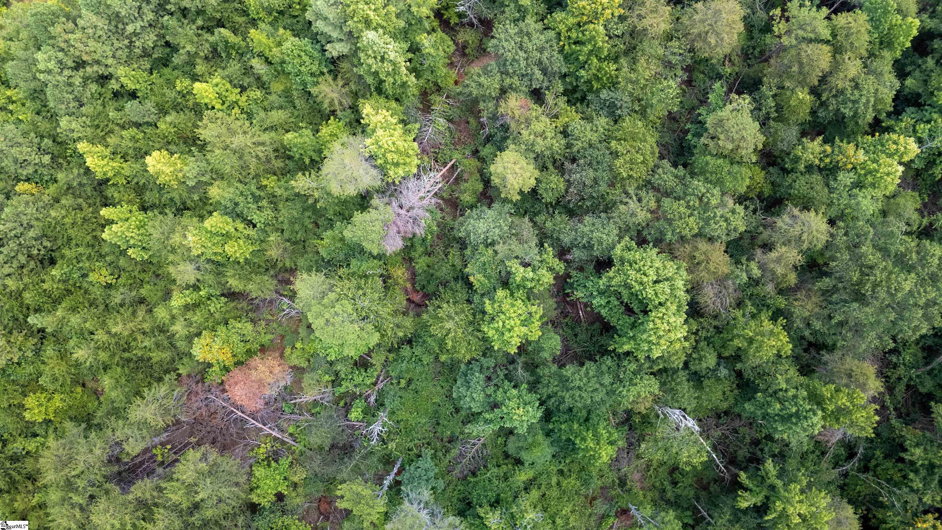 00 Meadow Farm Road Inman, SC 29849