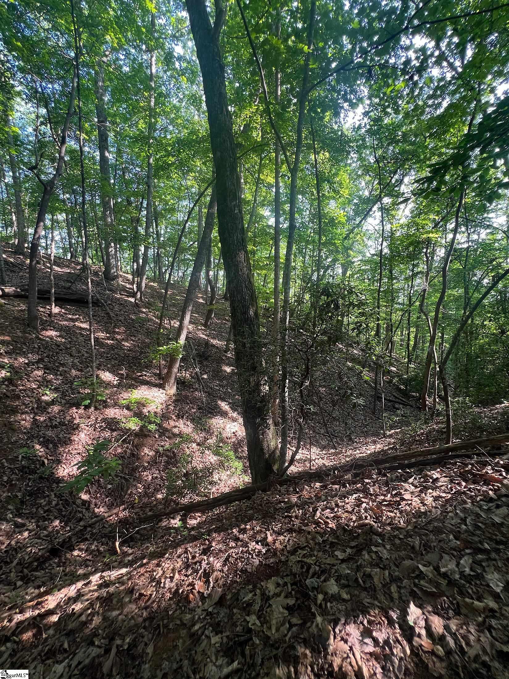 00 Beulah Land Way Pickens, SC 29671