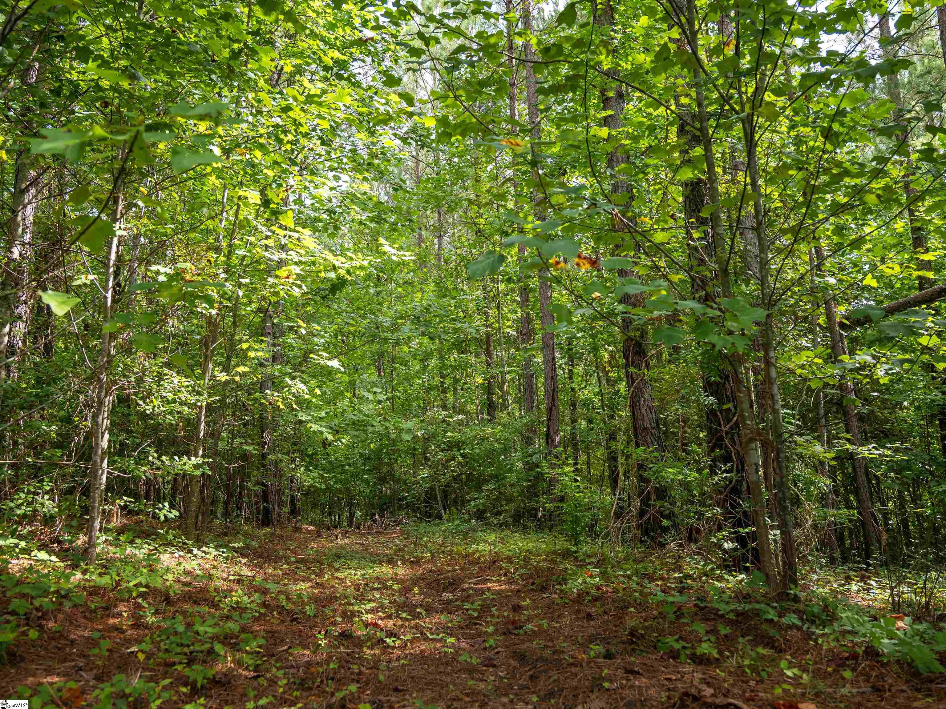 504 Pinedale Road Liberty, SC 29657