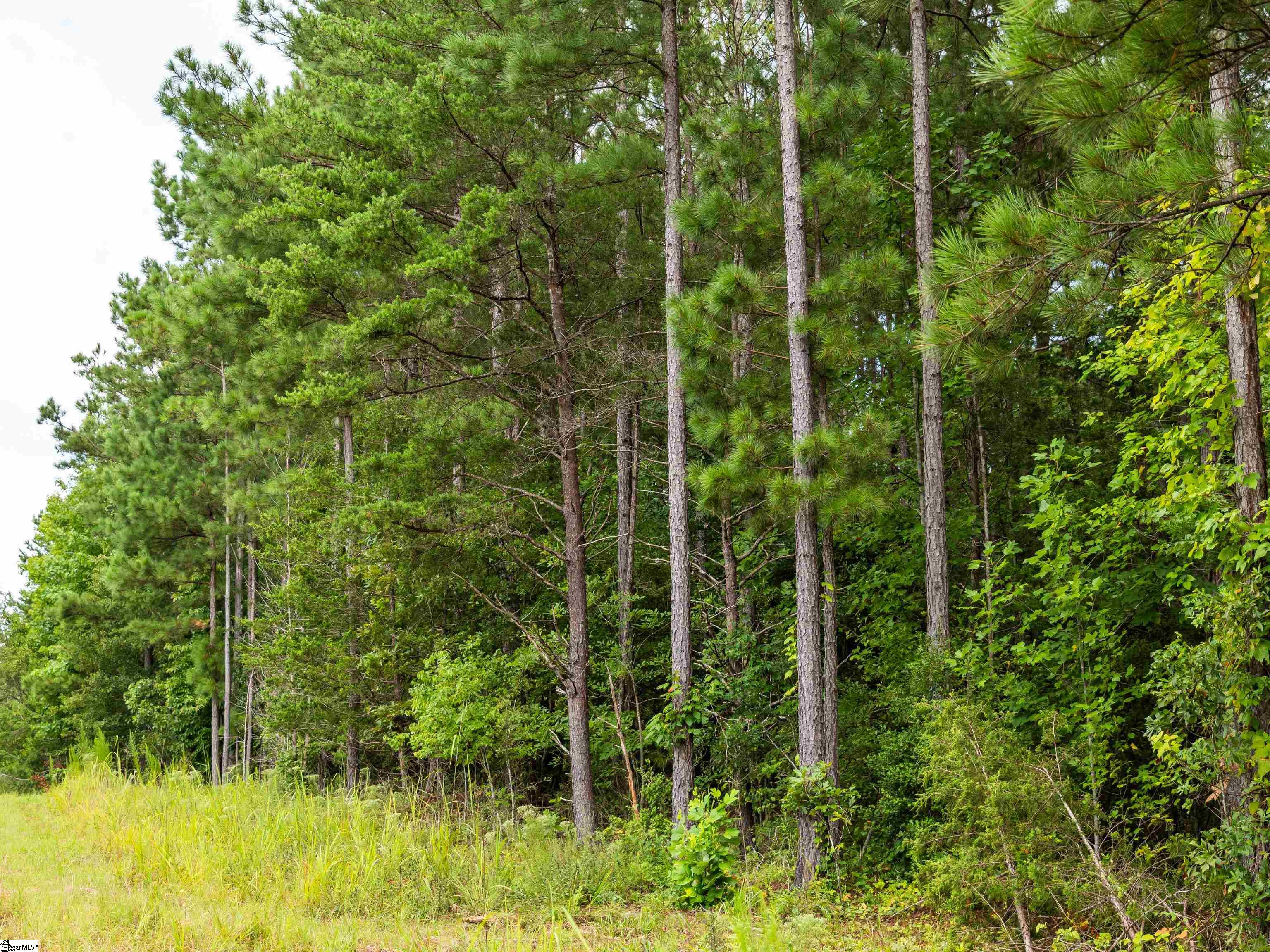 504 Pinedale Road Liberty, SC 29657