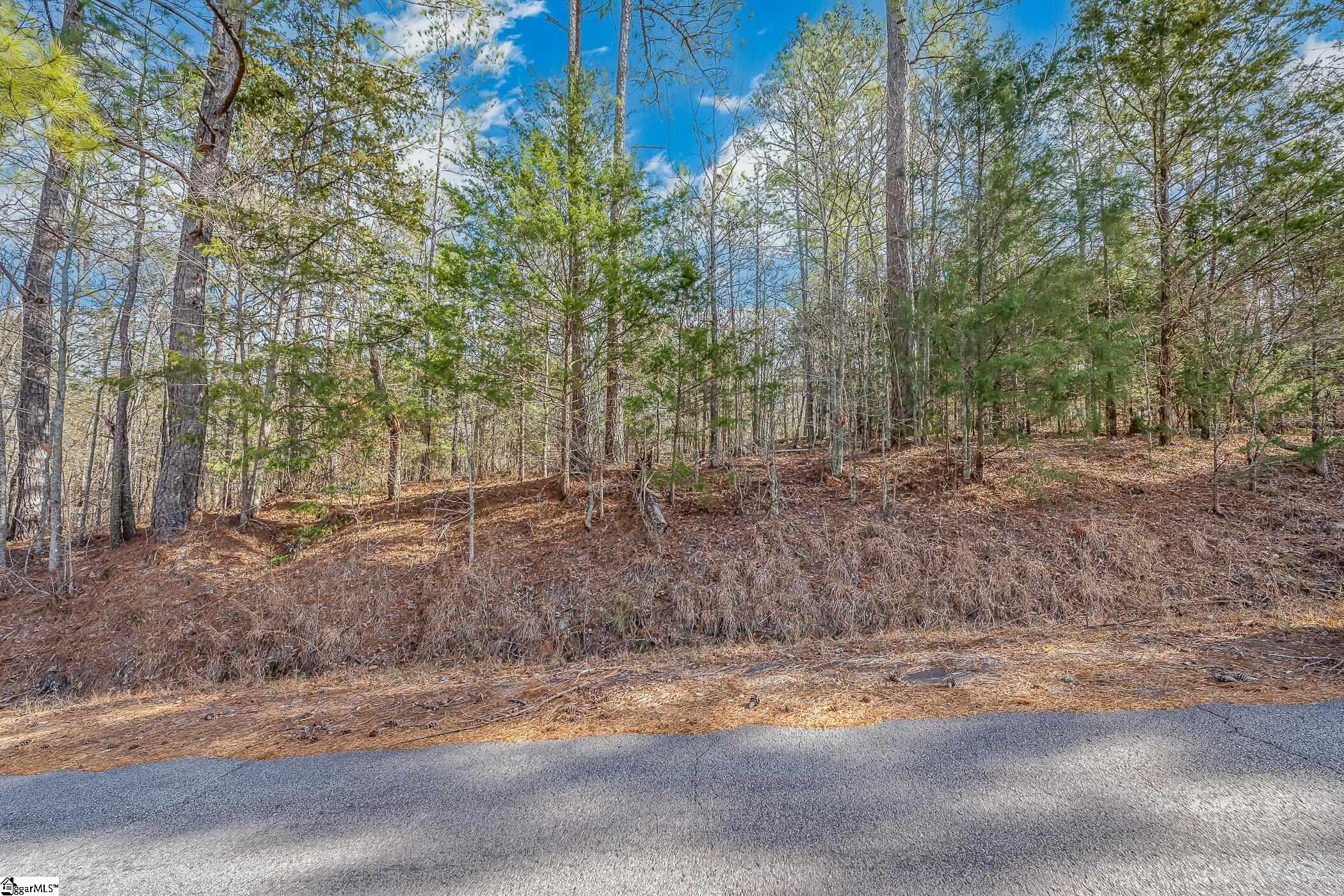 Barrett Road Waterloo, FL 29384