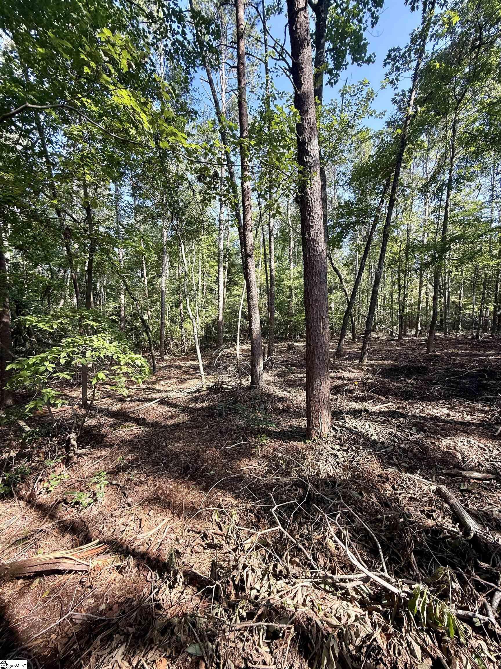 Thompson Road Greer, SC 29651