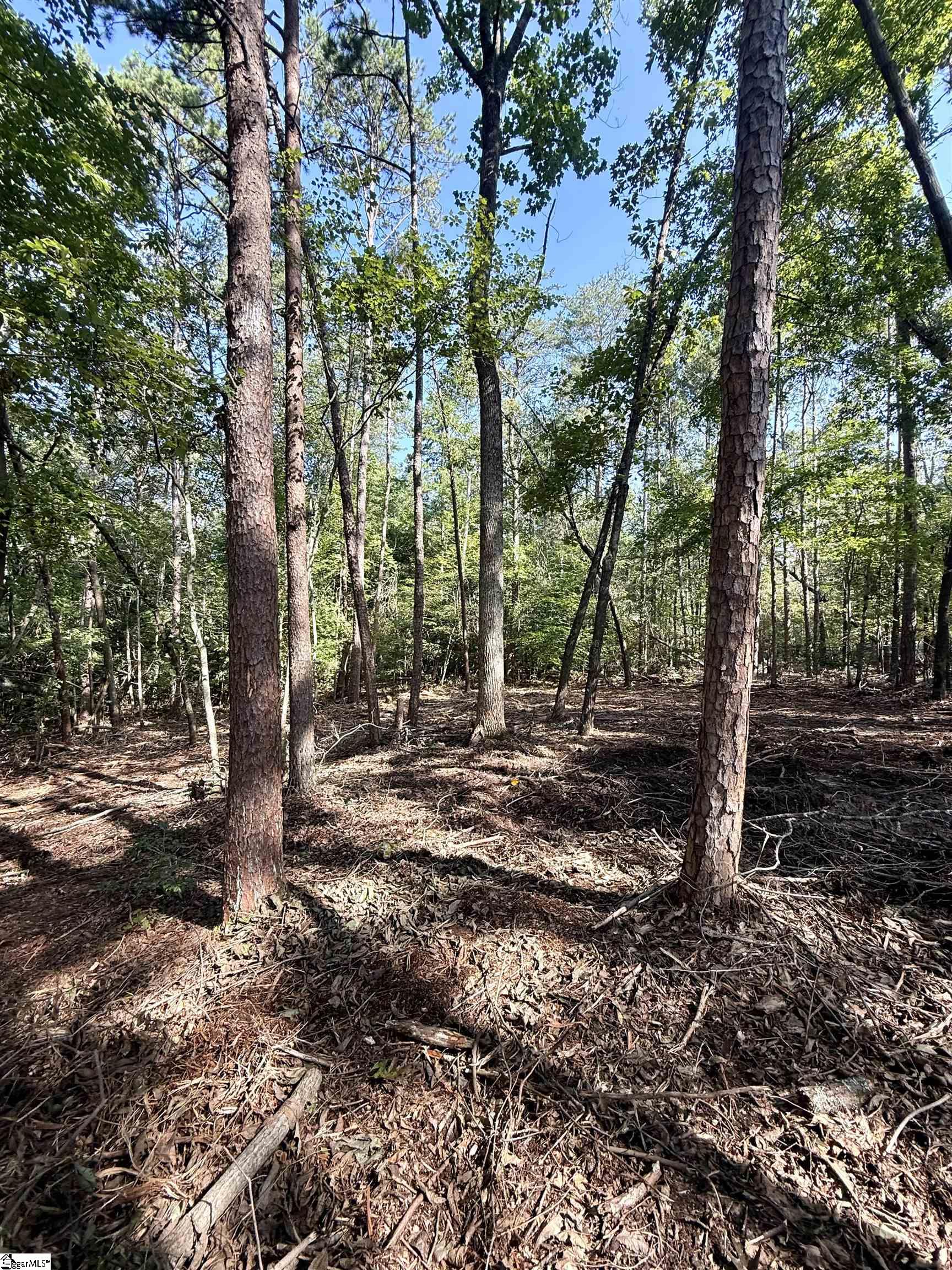 Thompson Road Greer, SC 29651