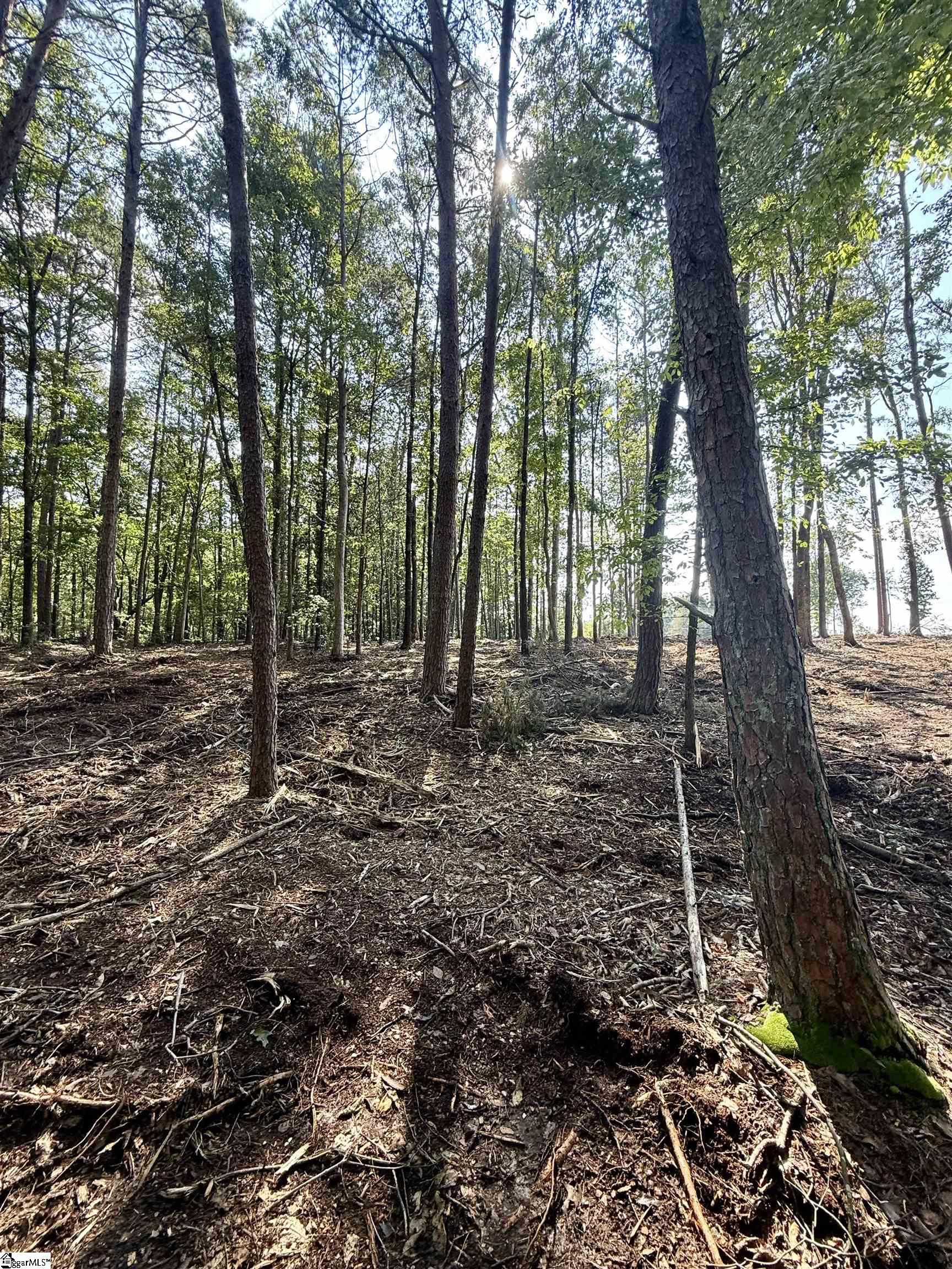 Thompson Road Greer, SC 29651