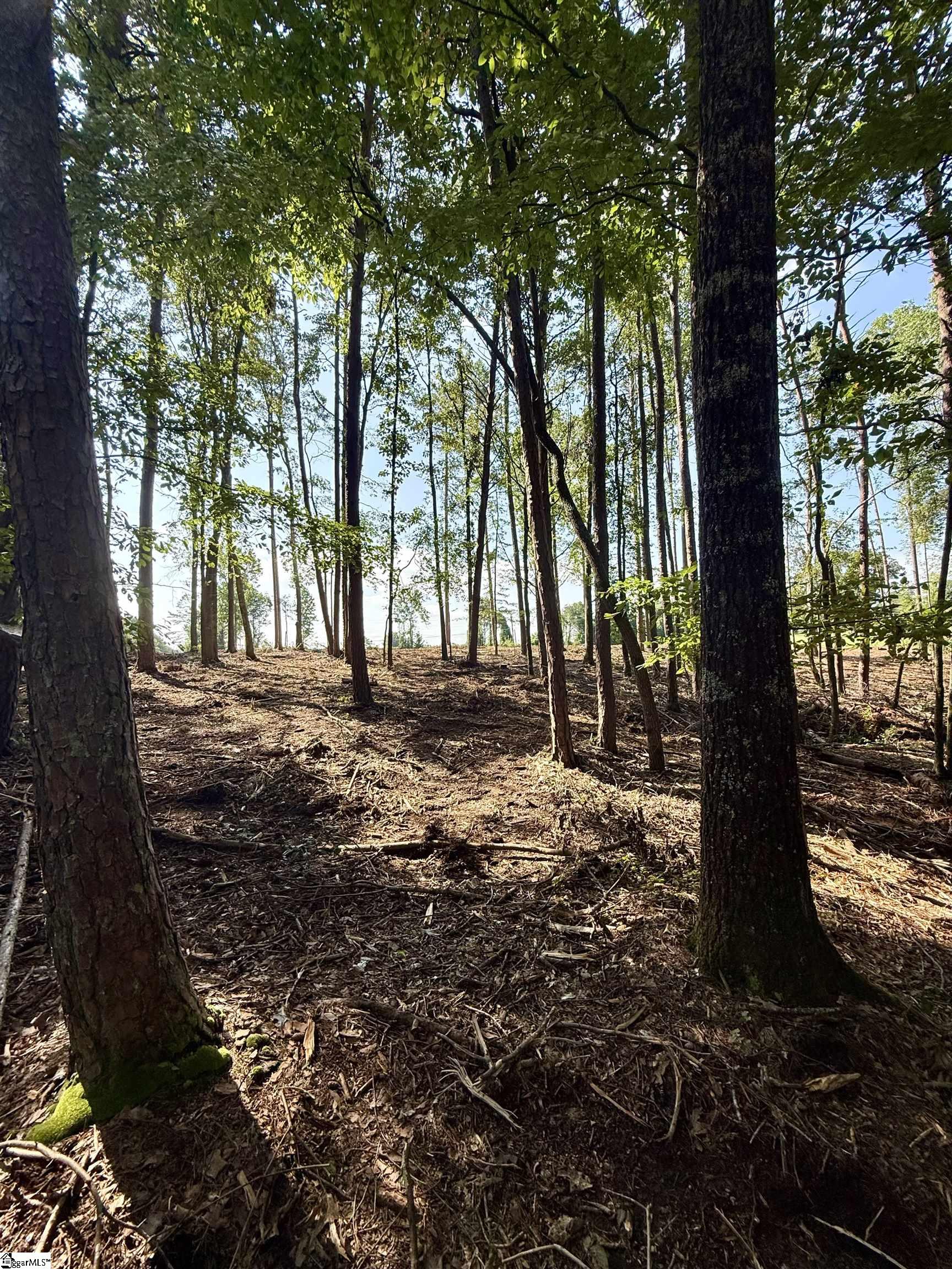 Thompson Road Greer, SC 29651