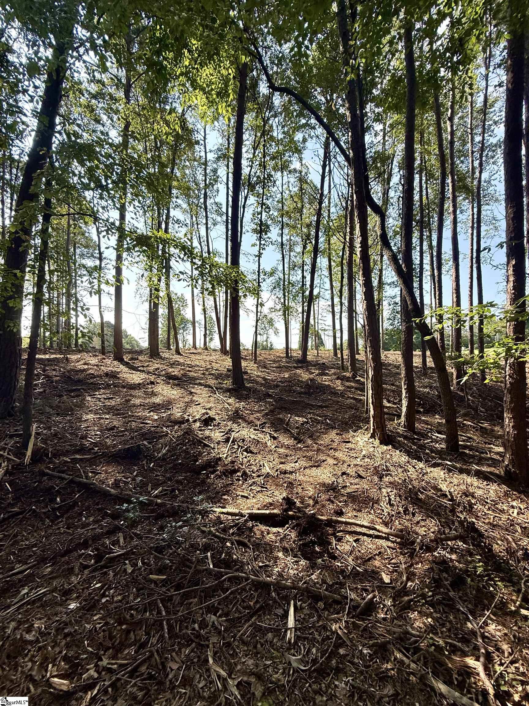 Thompson Road Greer, SC 29651