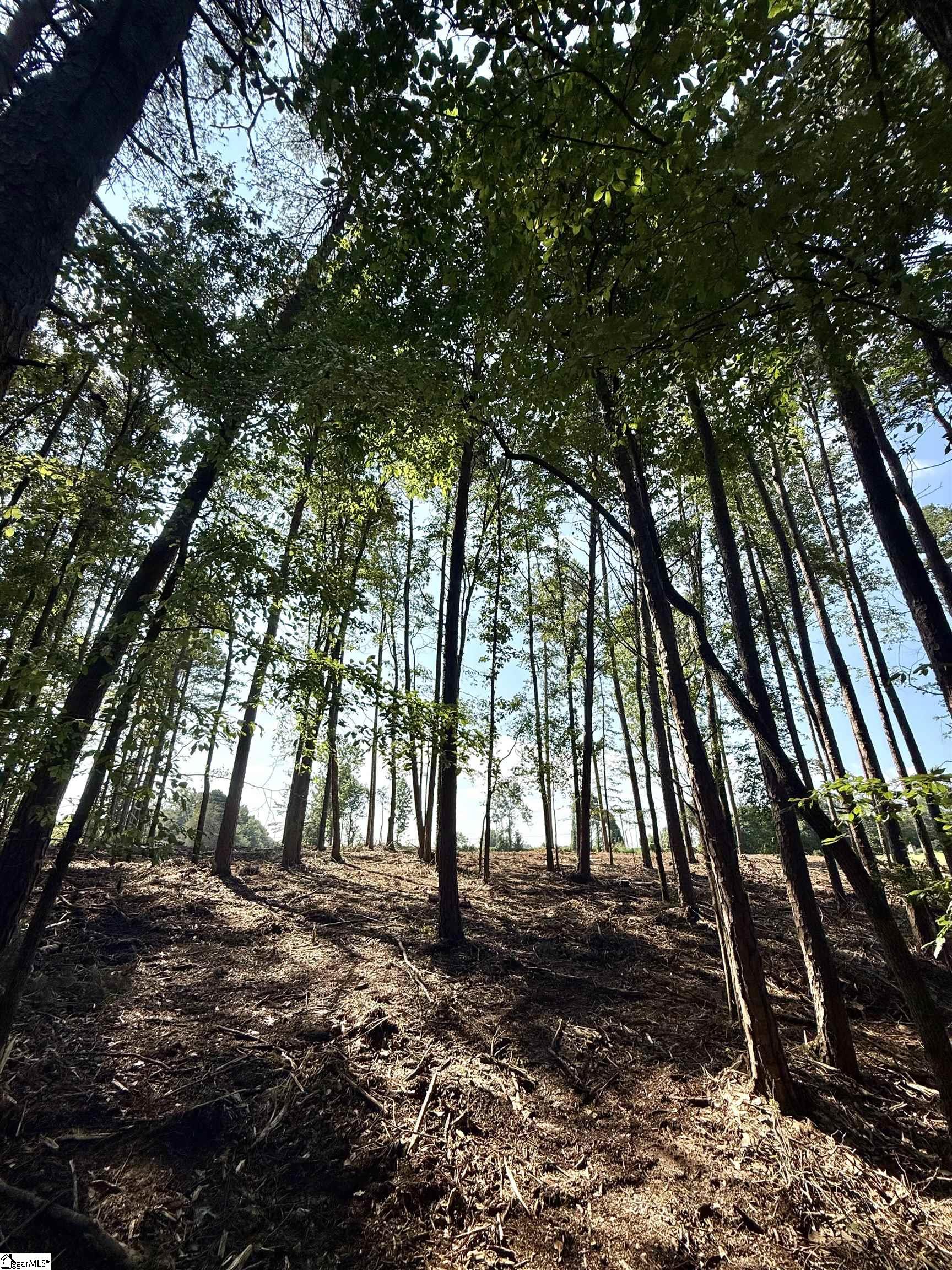 Thompson Road Greer, SC 29651