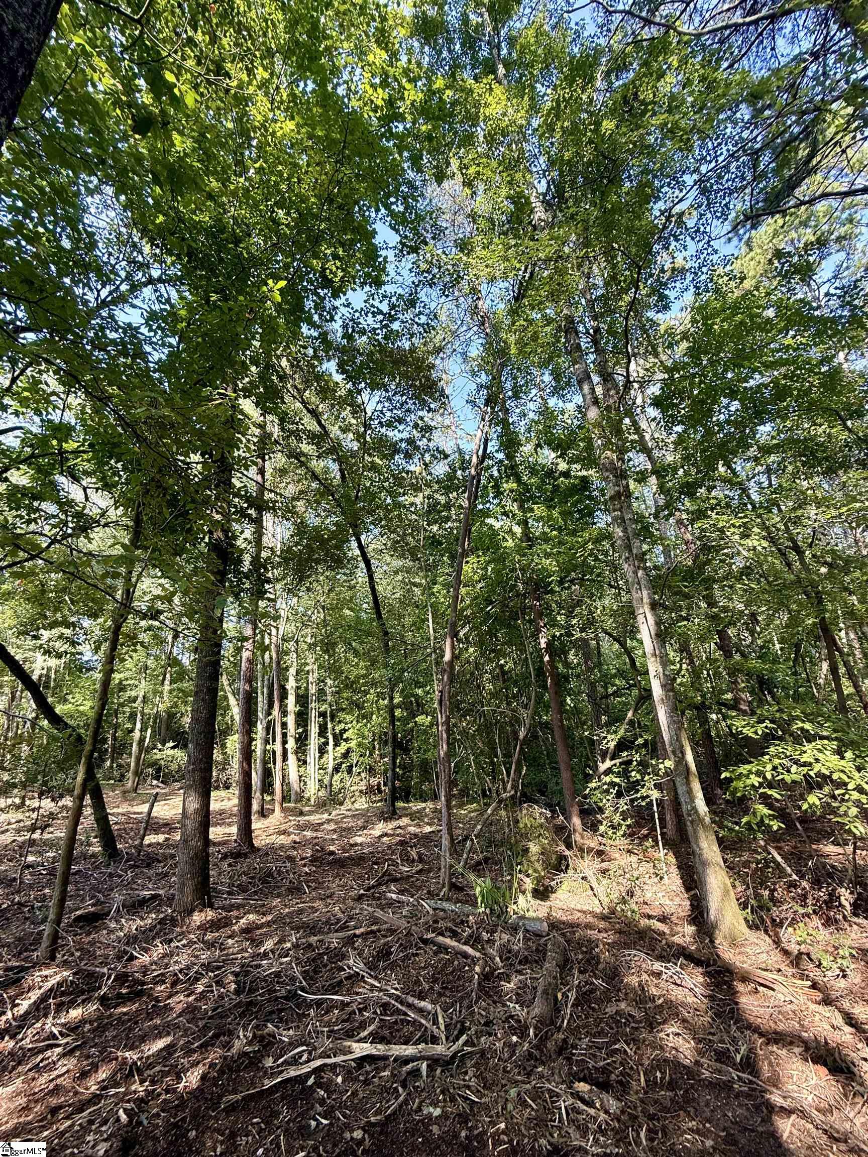 Thompson Road Greer, SC 29651