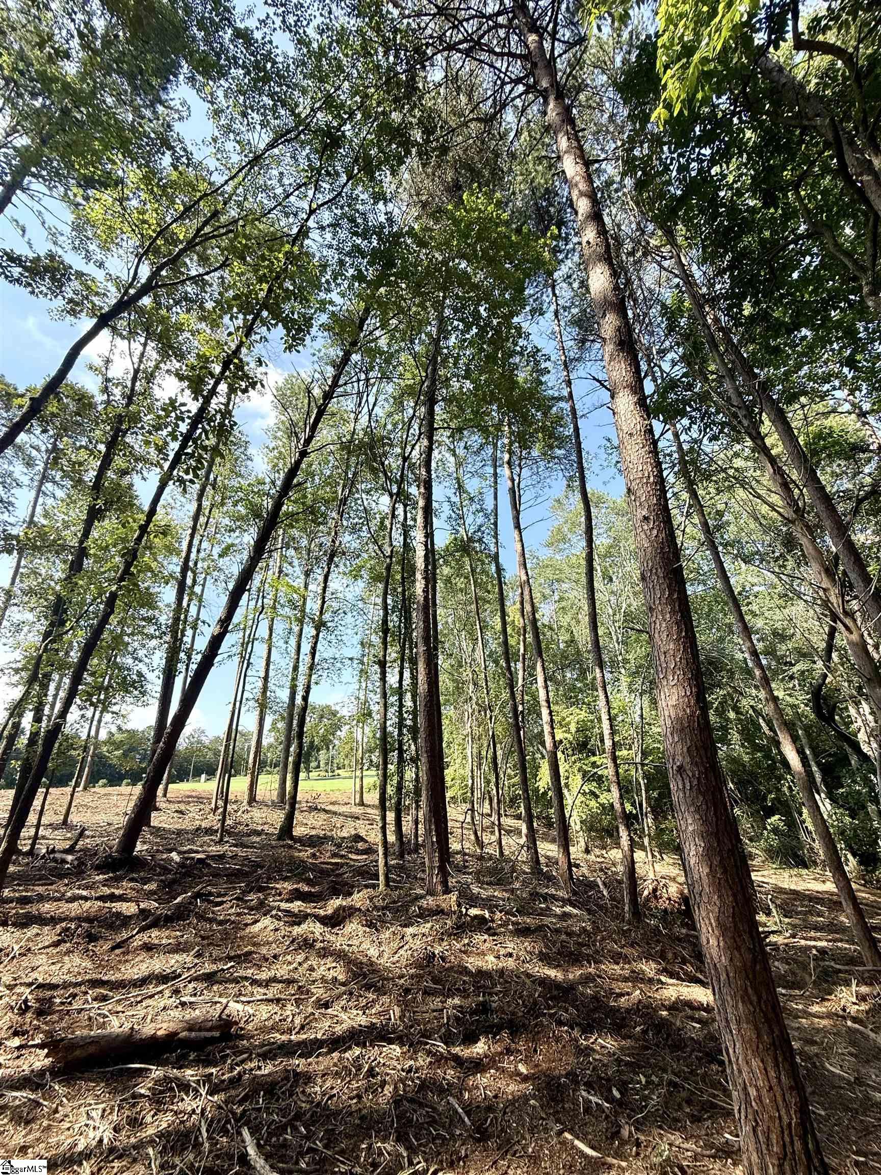 Thompson Road Greer, SC 29651