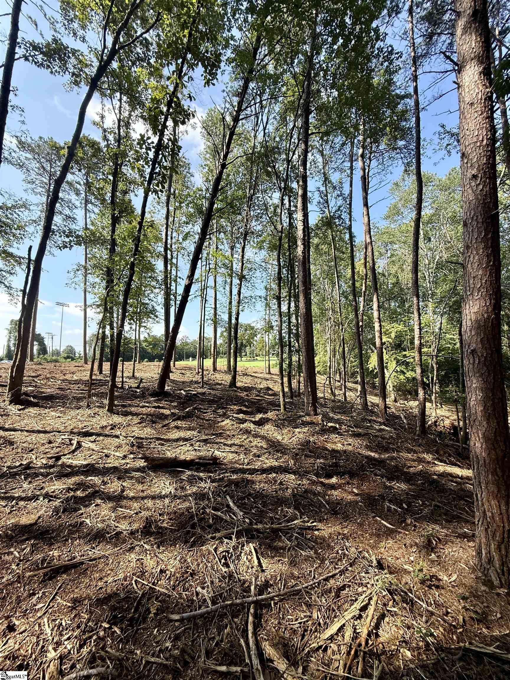 Thompson Road Greer, SC 29651