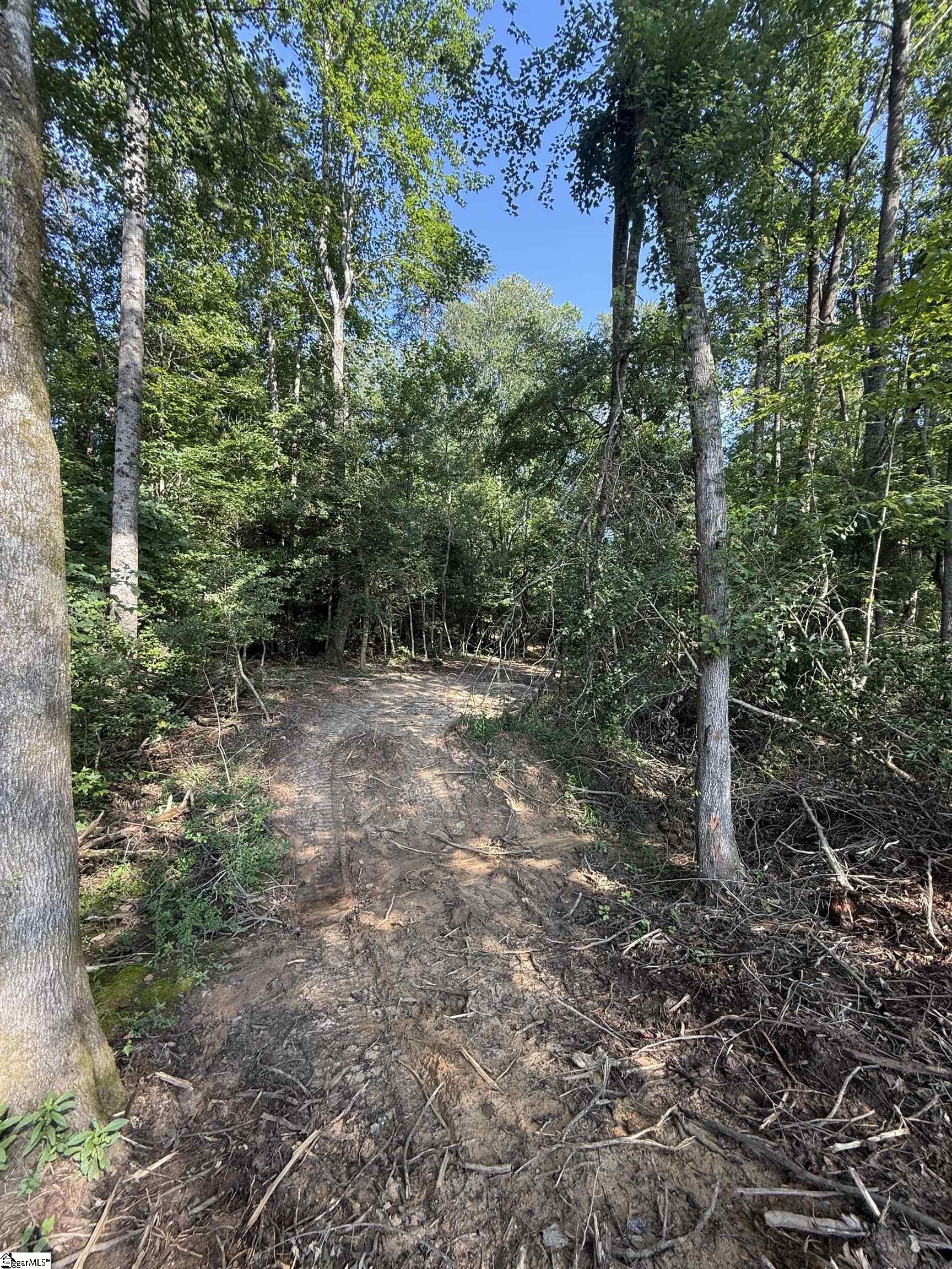 Thompson Road Greer, SC 29651