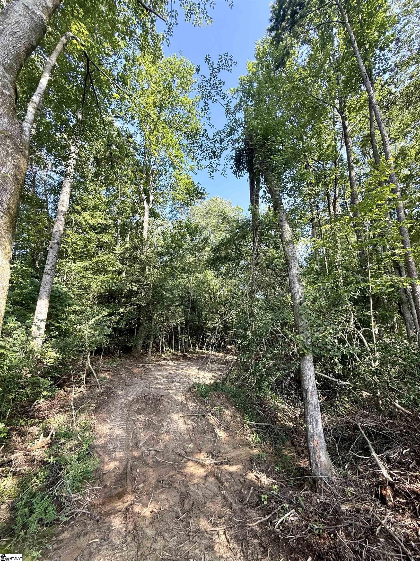 Thompson Road Greer, SC 29651