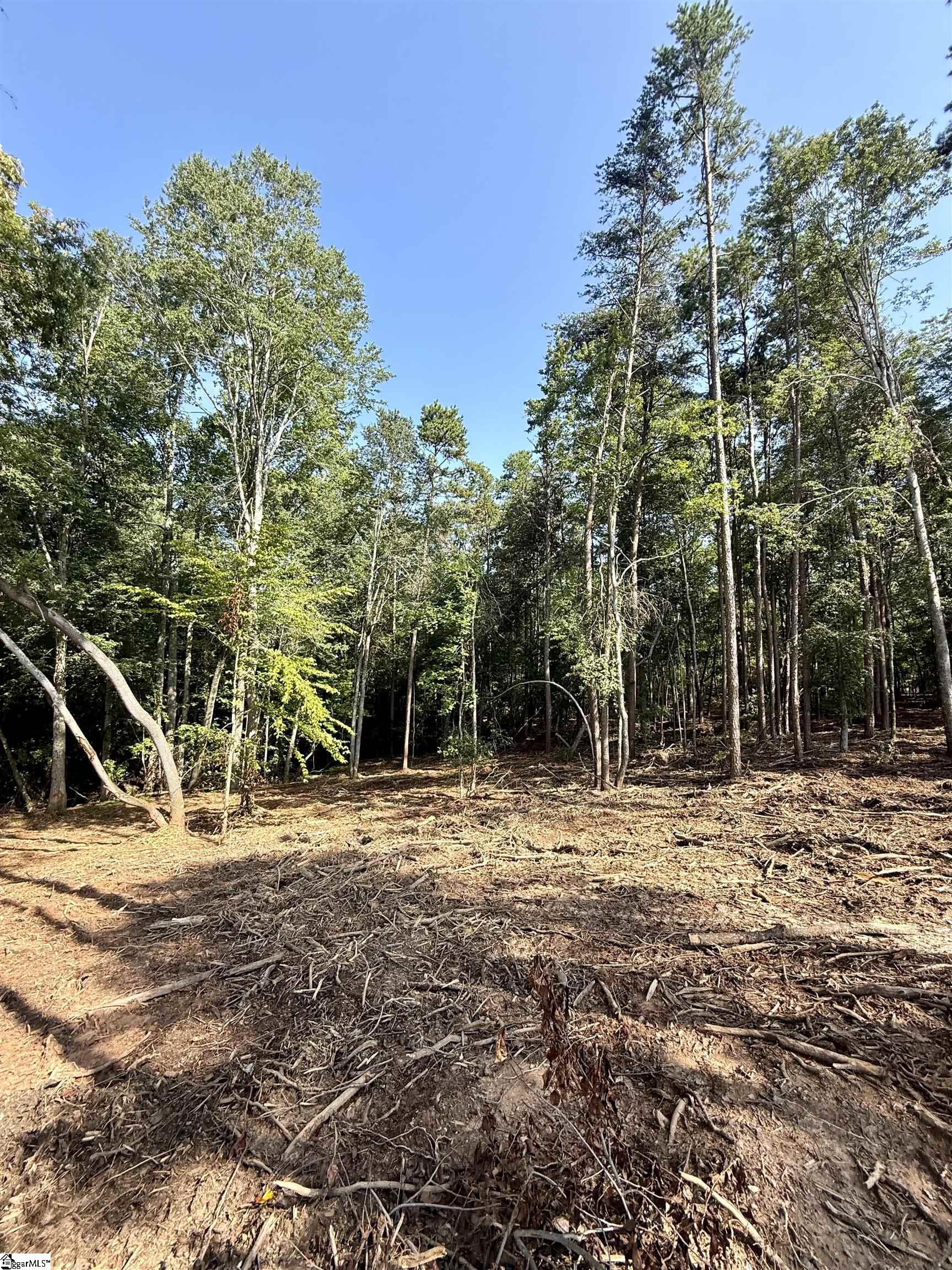 Thompson Road Greer, SC 29651