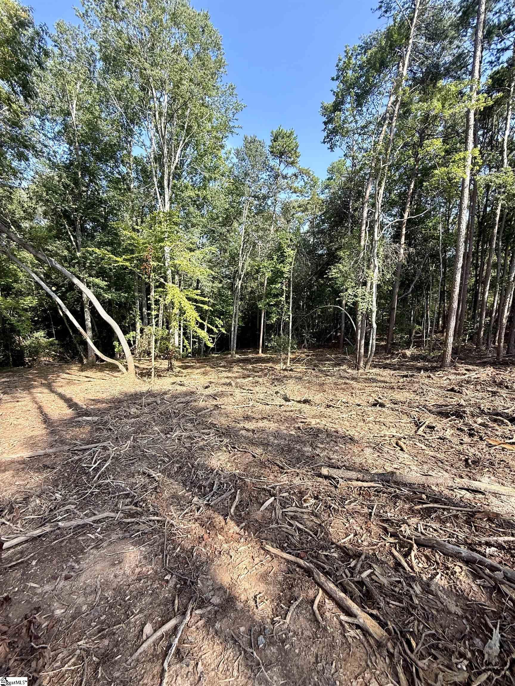 Thompson Road Greer, SC 29651
