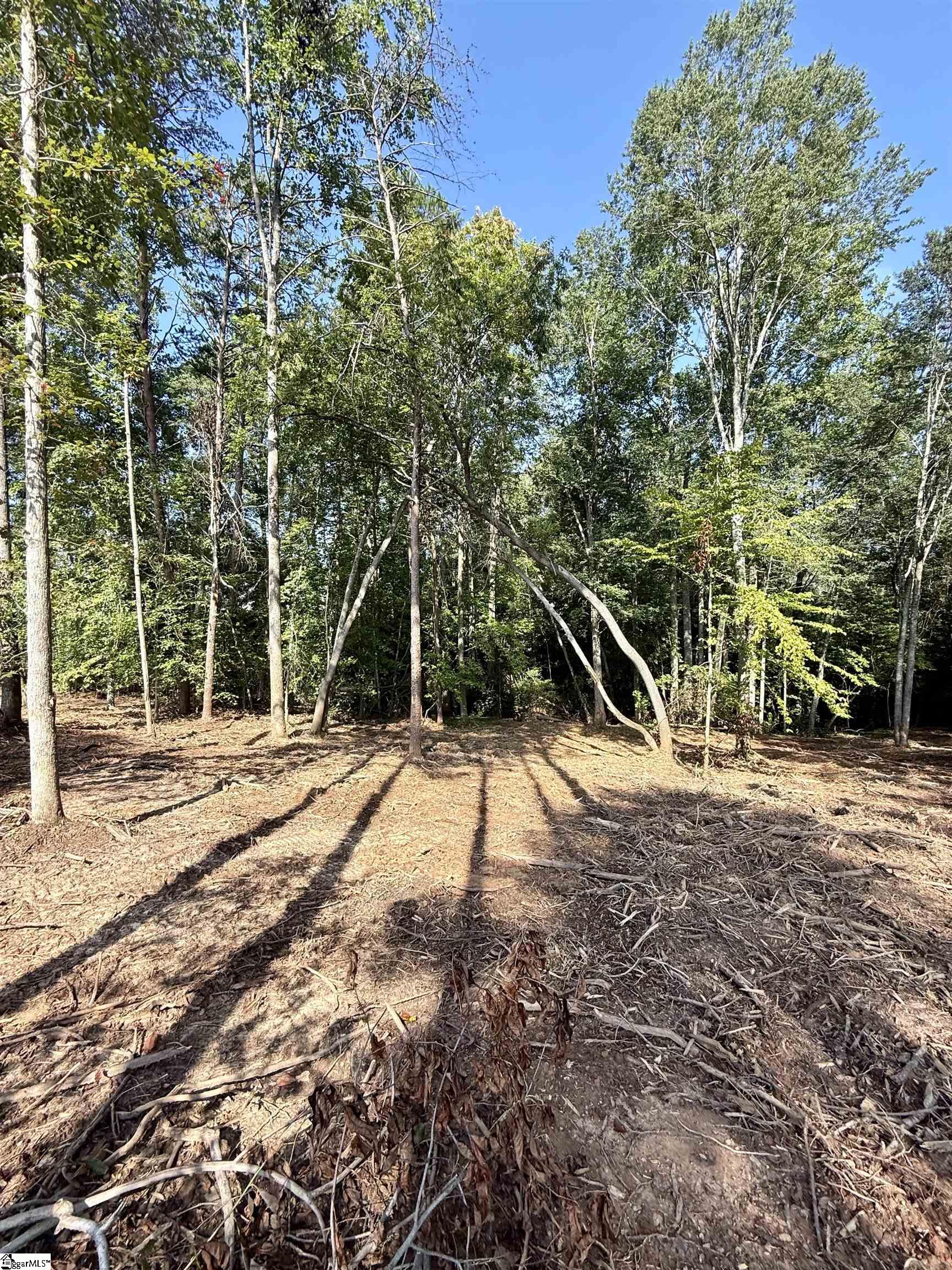 Thompson Road Greer, SC 29651