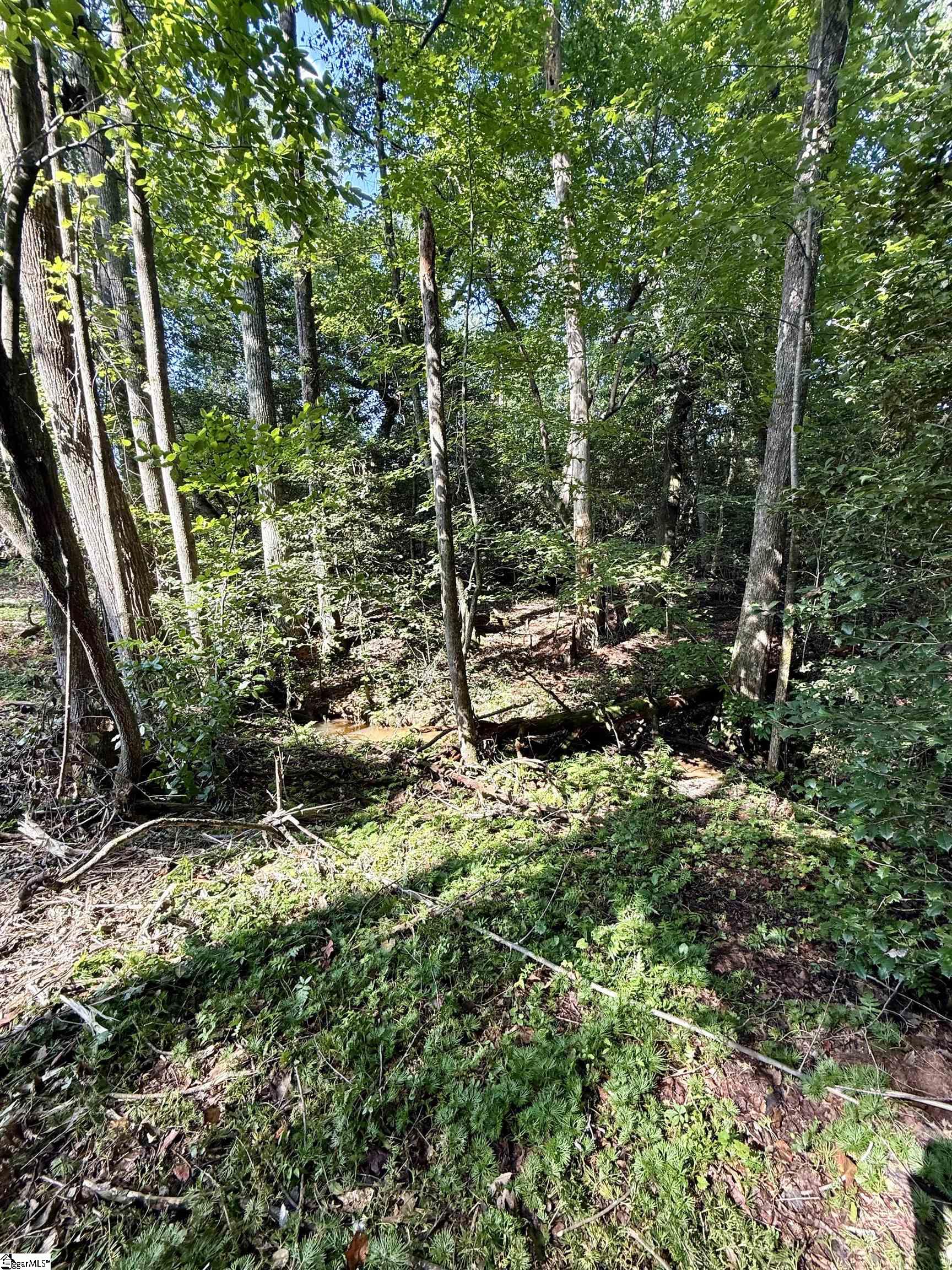 Thompson Road Greer, SC 29651