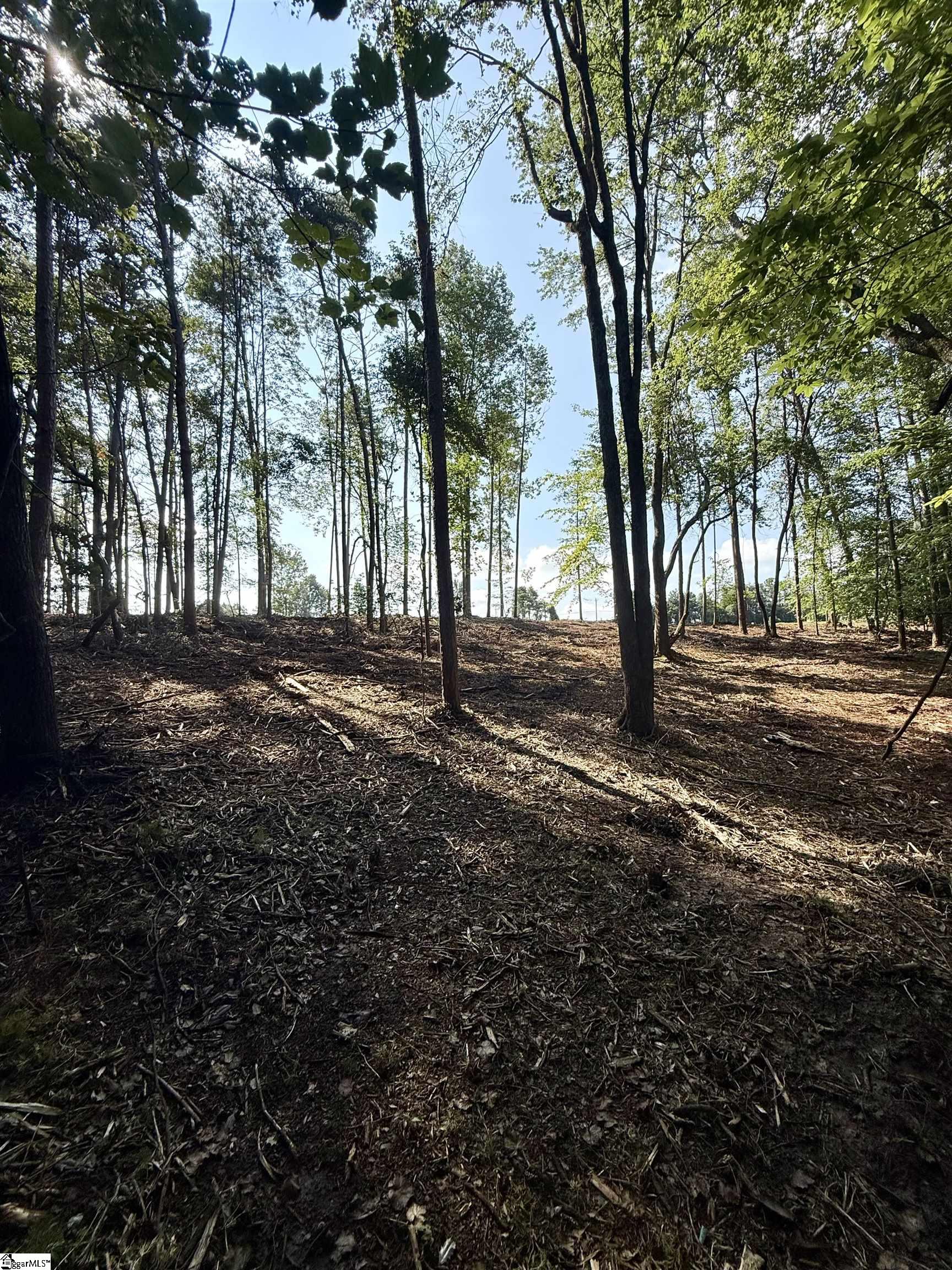 Thompson Road Greer, SC 29651