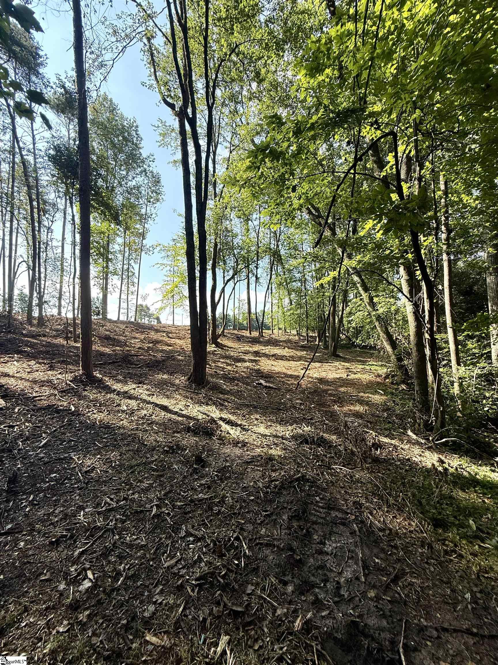 Thompson Road Greer, SC 29651