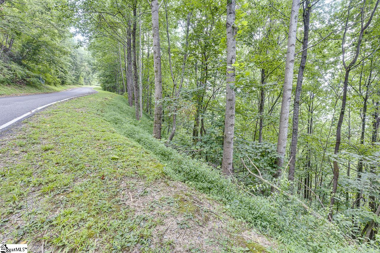 613 Western Way Landrum, SC 29356