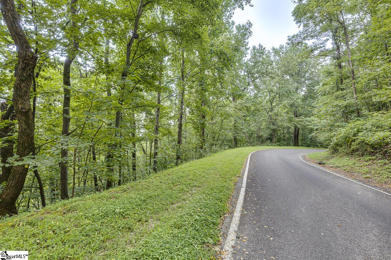 613 Western Way Landrum, SC 29356