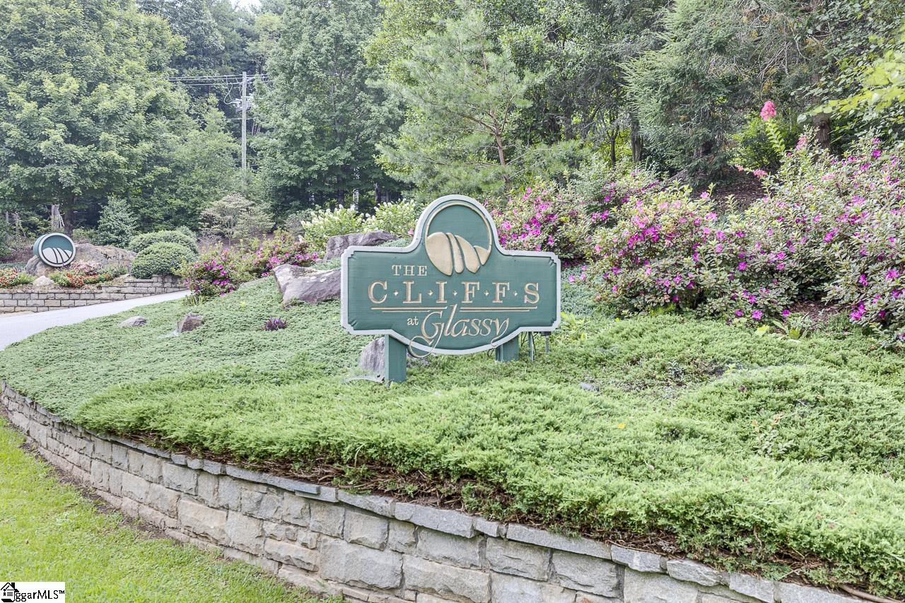 613 Western Way Landrum, SC 29356