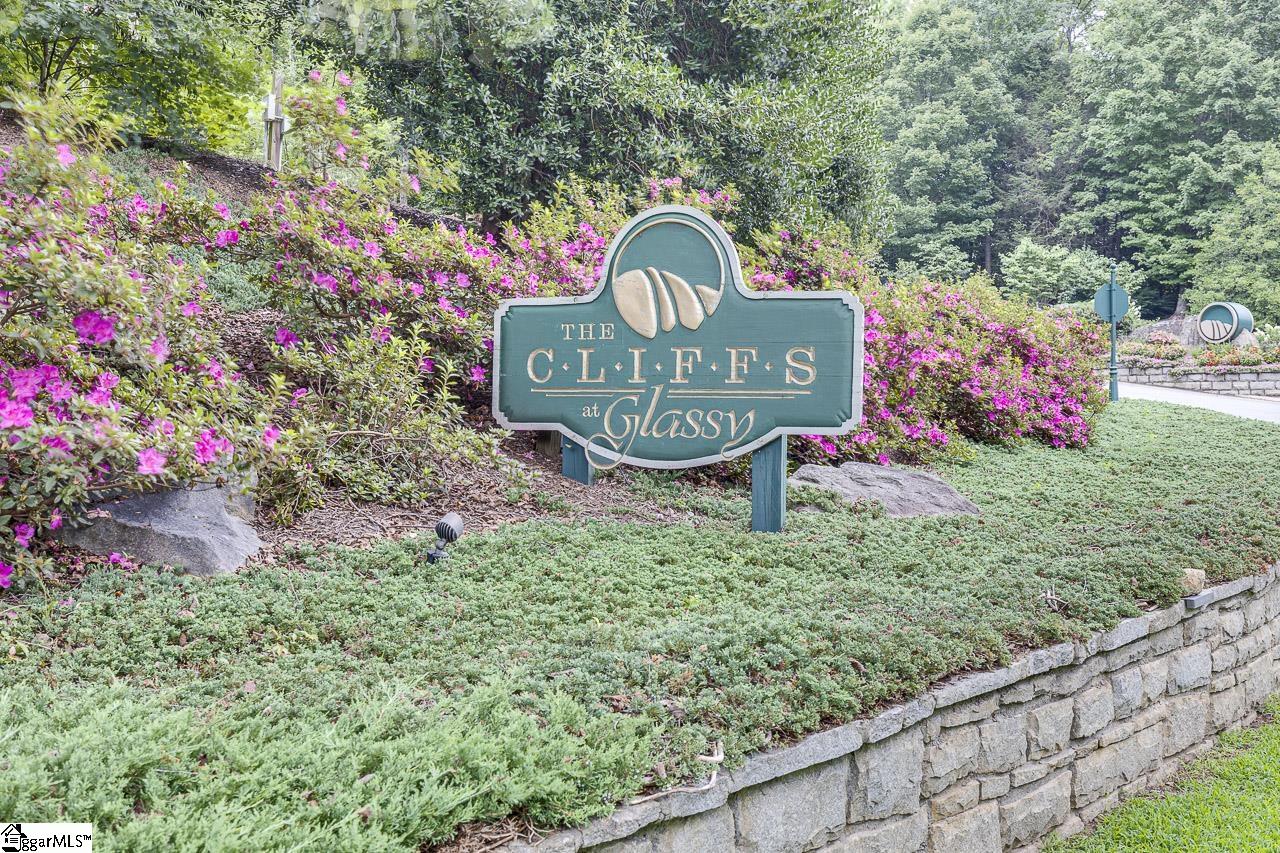 613 Western Way Landrum, SC 29356
