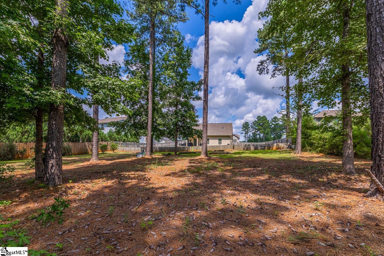 619 Autumn Breeze Walk Inman, SC 29349