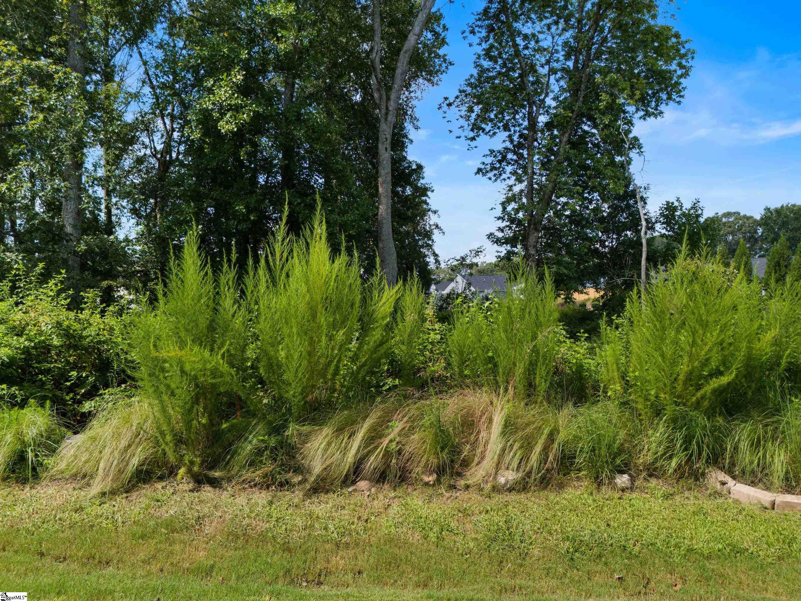 1418 Bella Grace Court Boiling Springs, SC 29316