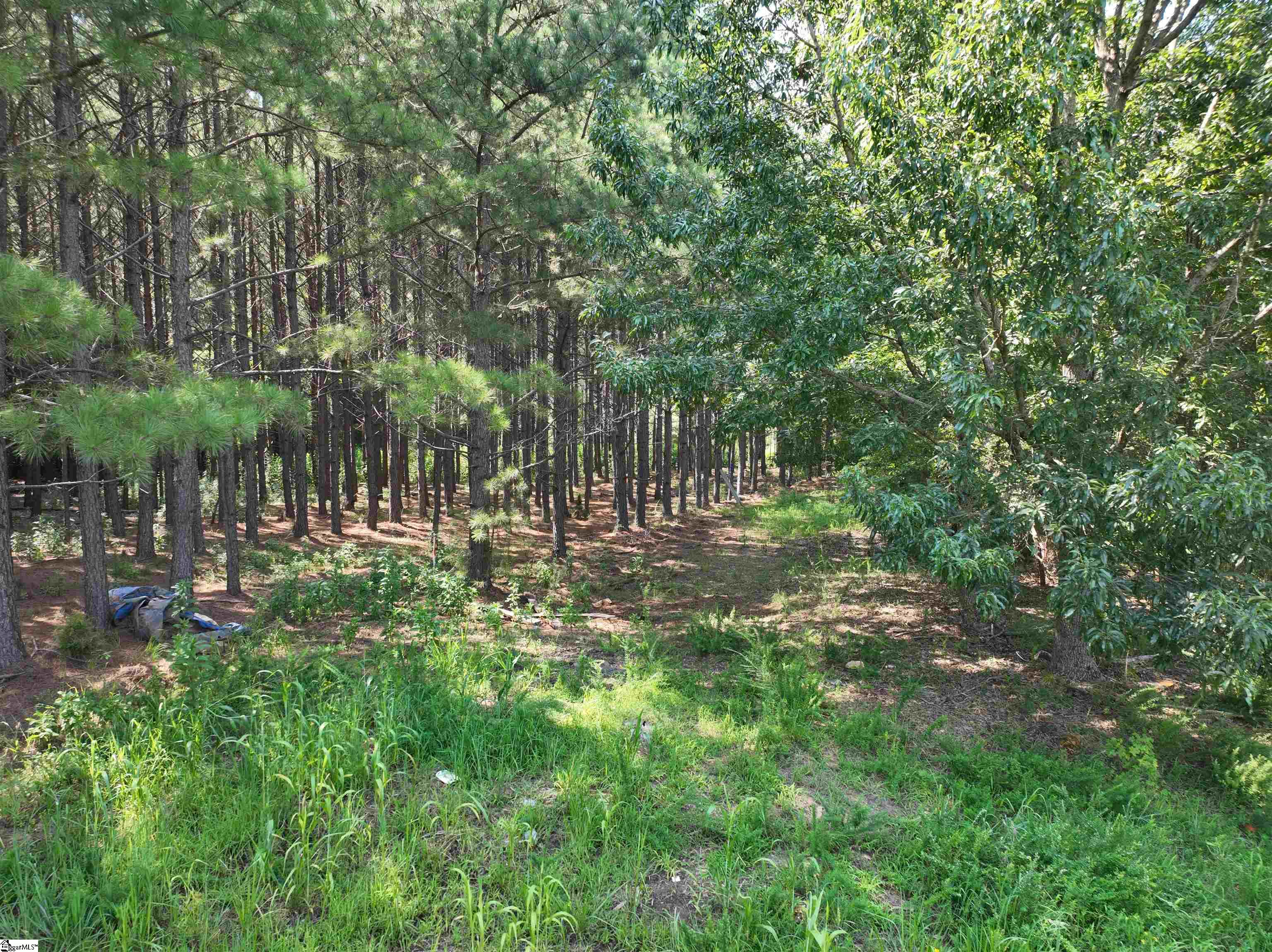 1280 Broadway Lake Anderson, SC 29621