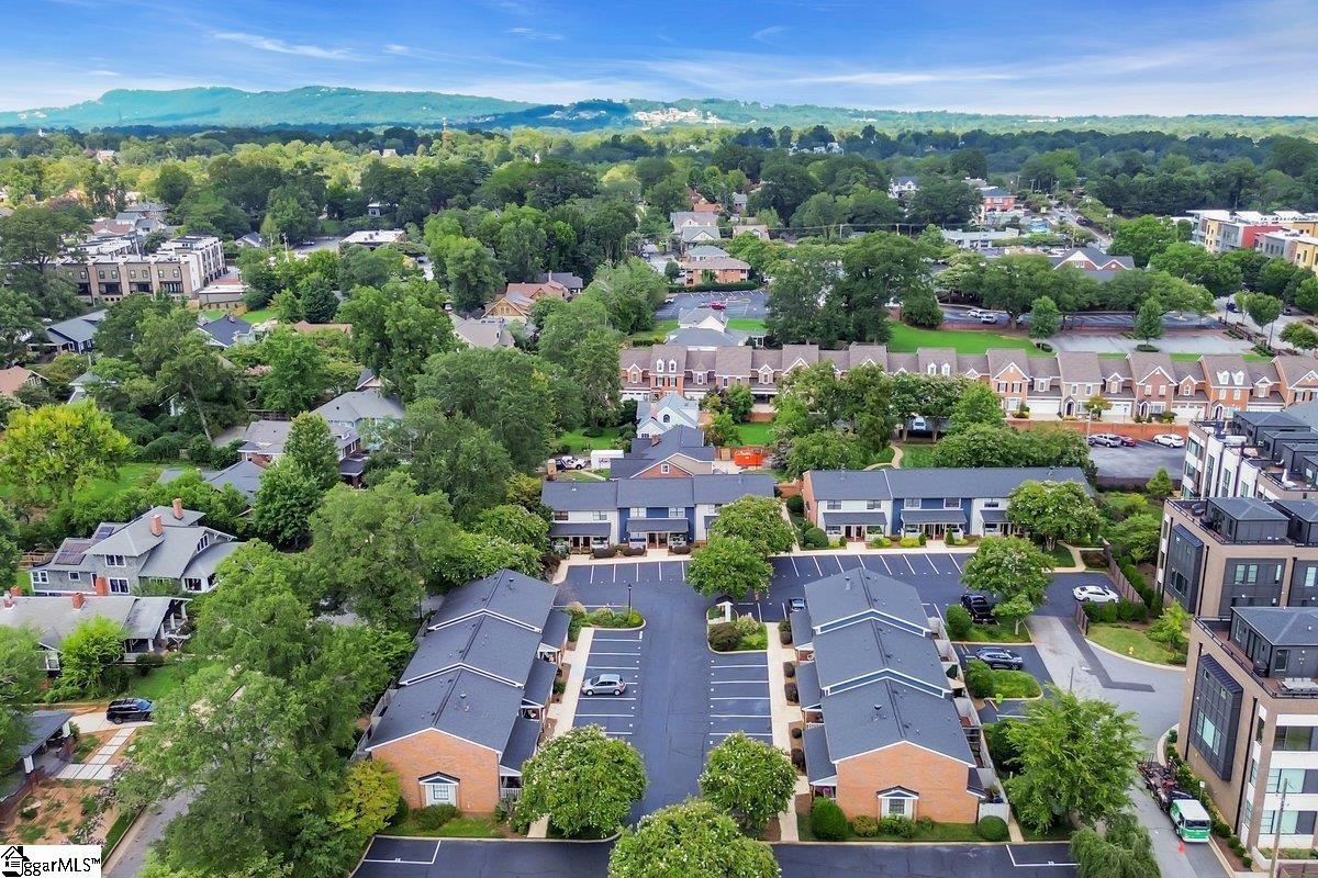 408 Townes Unit Street Greenville, SC 29601