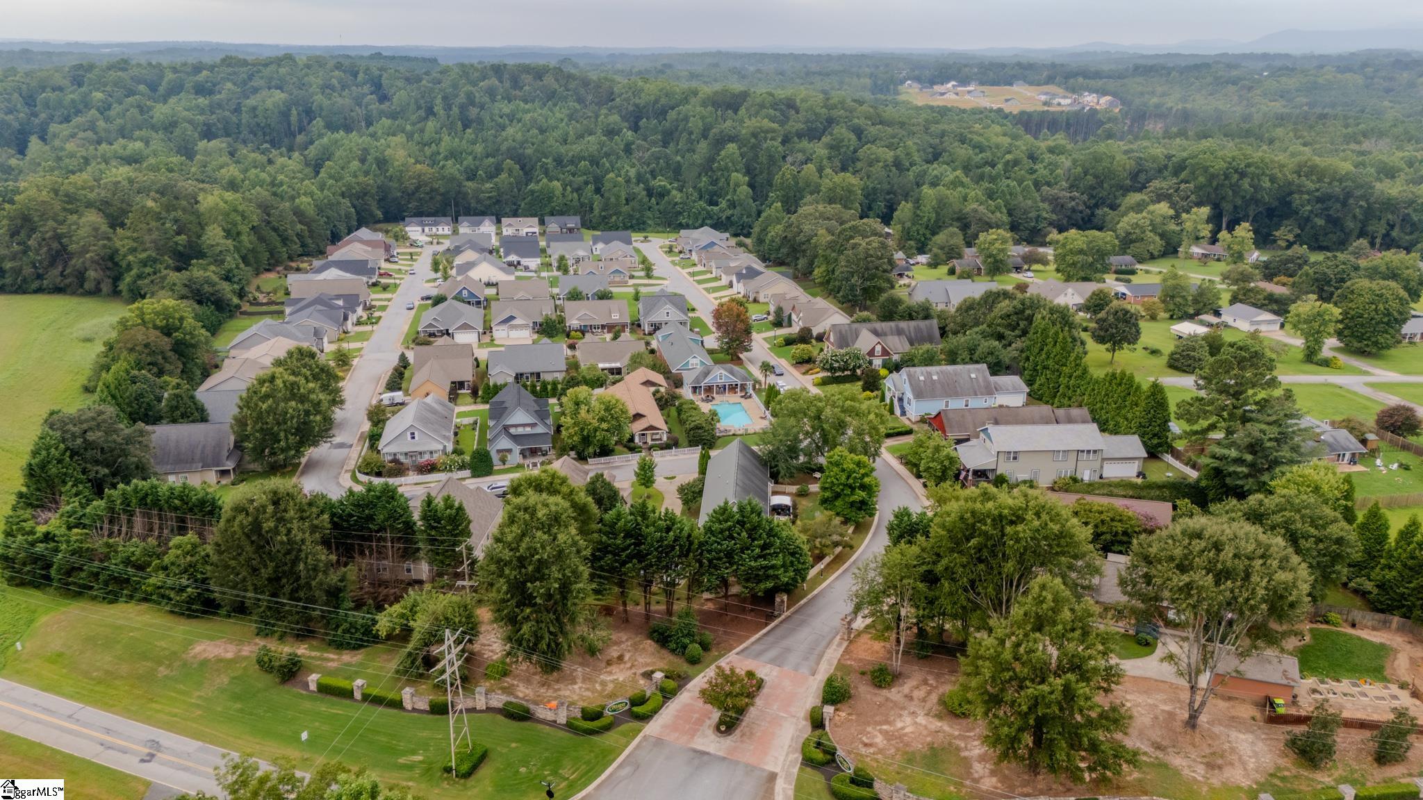 602 Downing Way Landrum, SC 29356