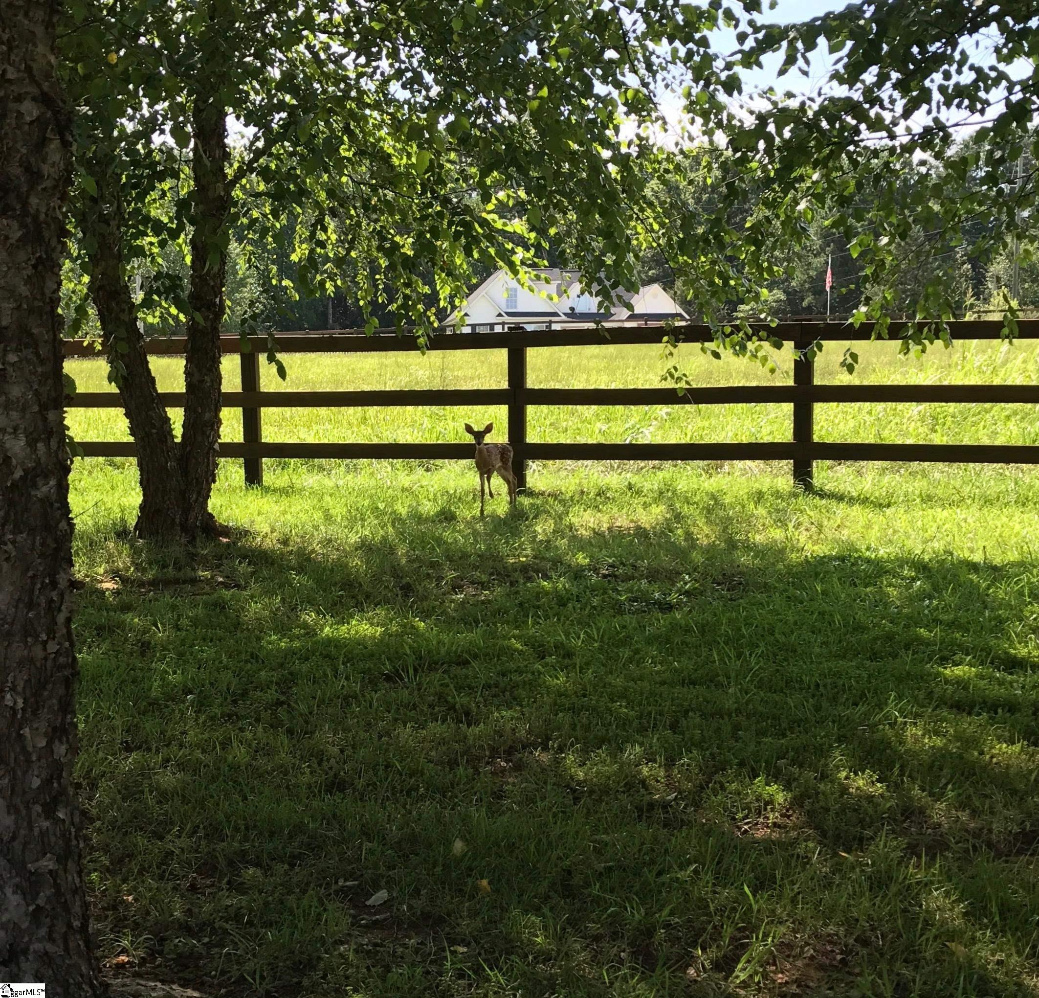 400 Link Road Pendelton, SC 29670