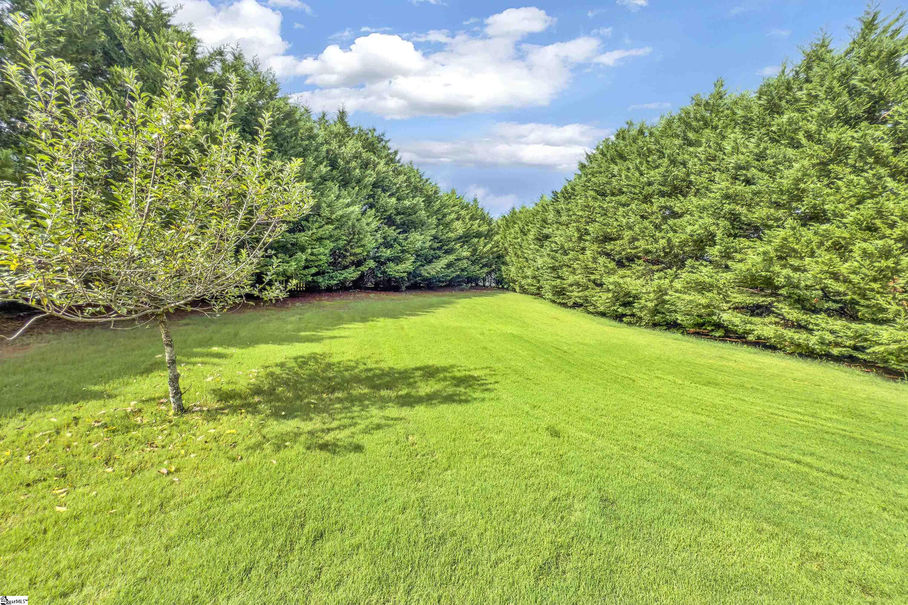 139 Scotts Bluff Drive Simpsonville, SC 29681