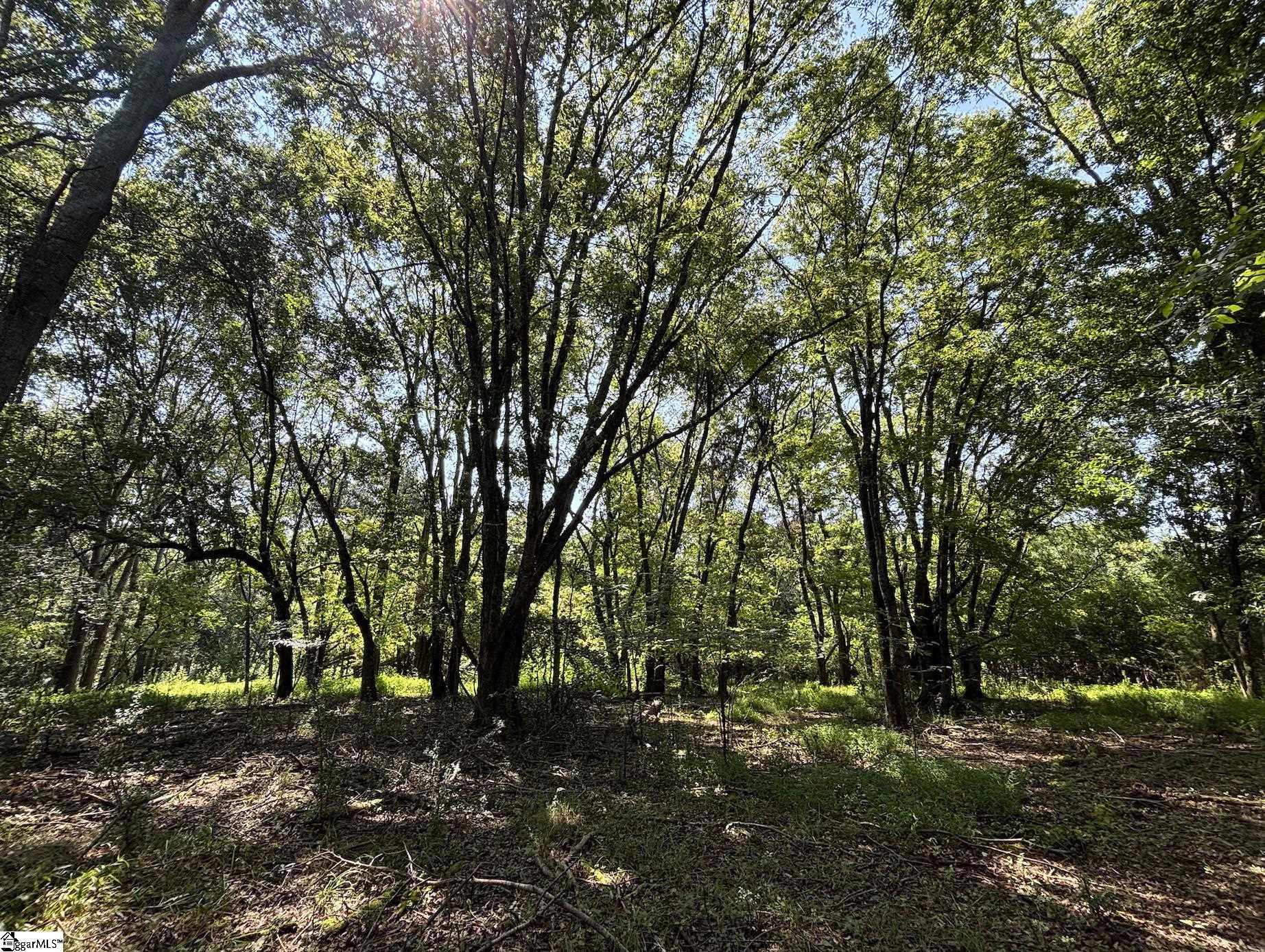 000 Wingo Road Wellford, SC 29385