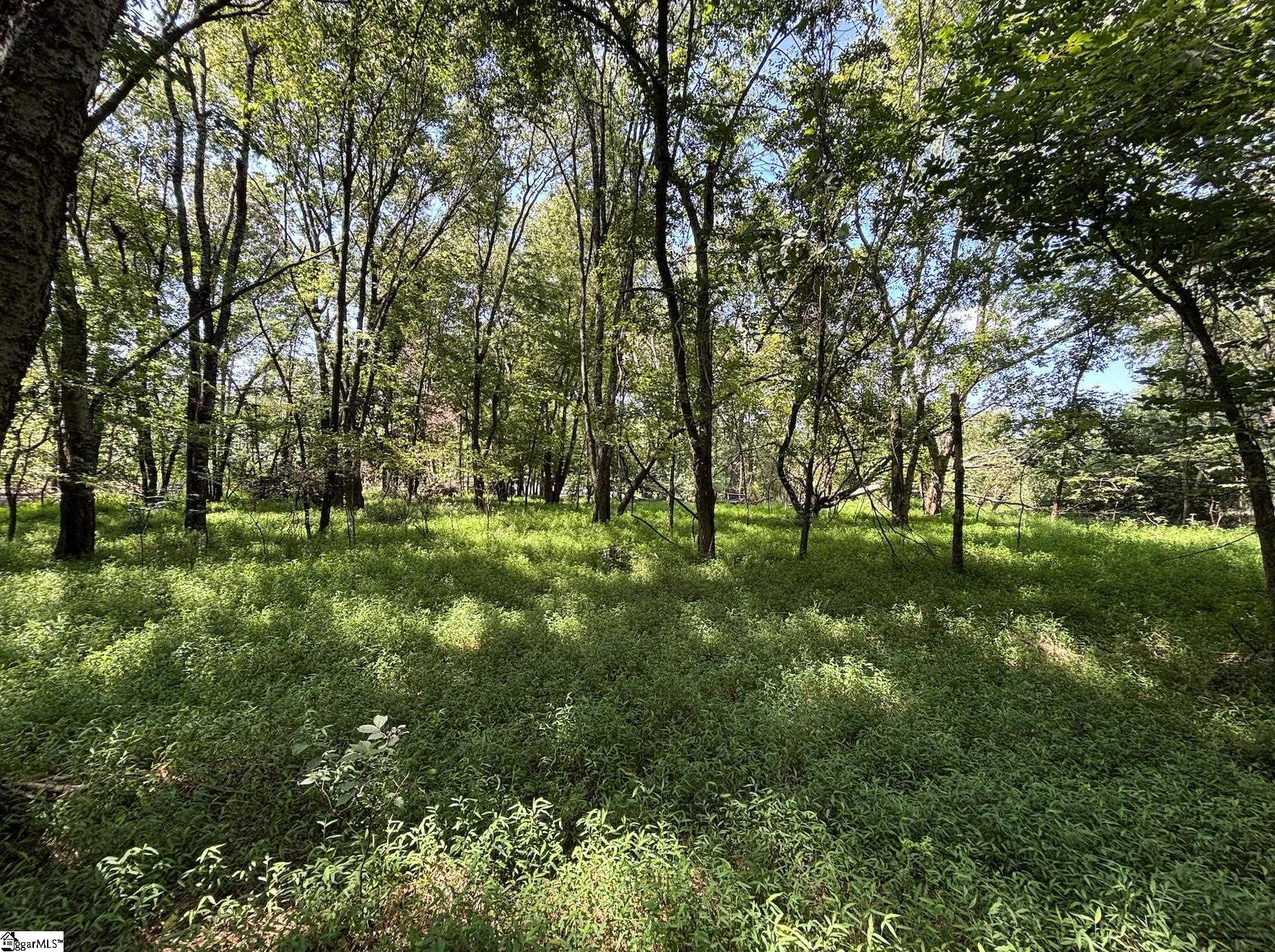 000 Wingo Road Wellford, SC 29385