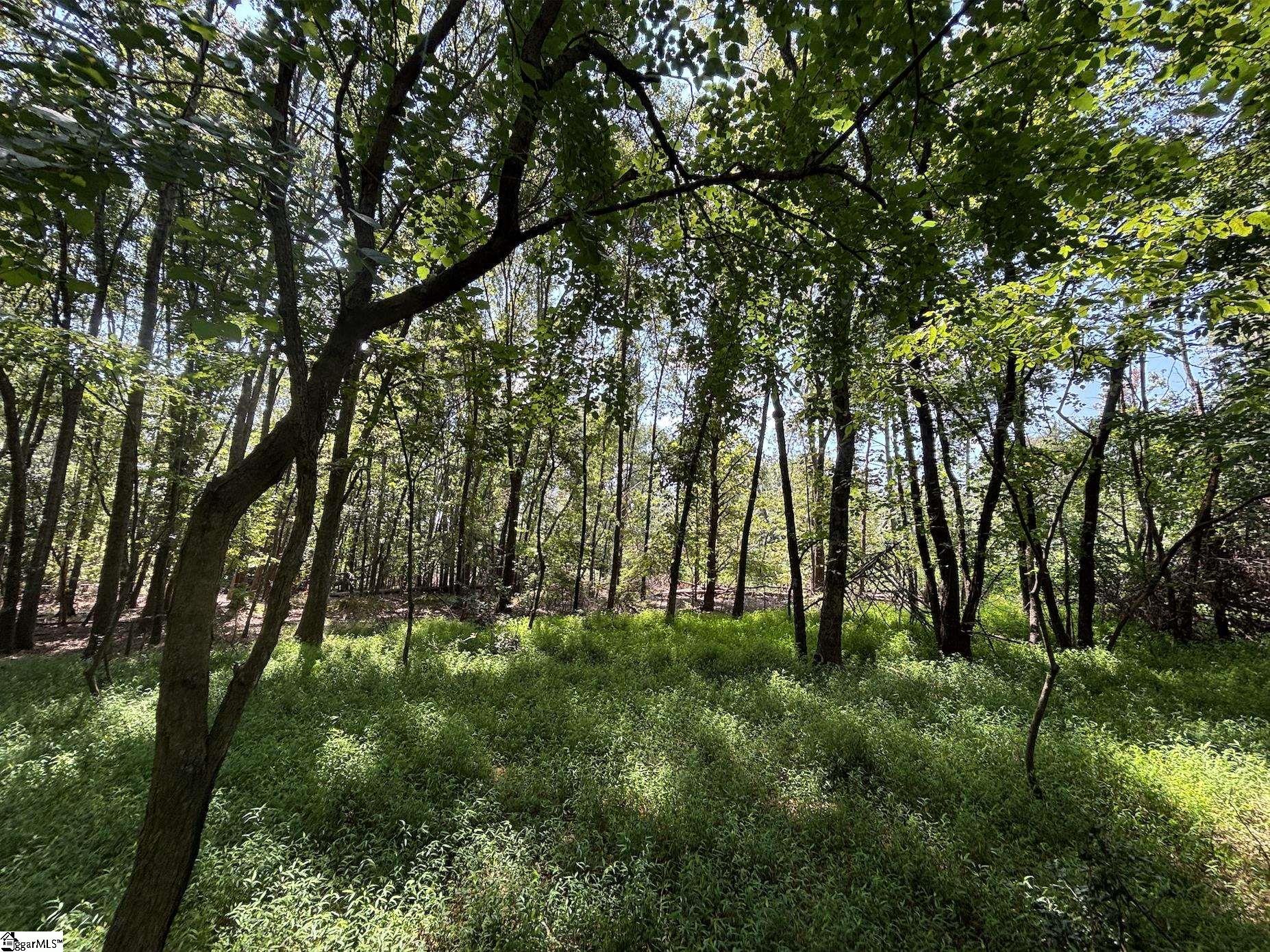 000 Wingo Road Wellford, SC 29385