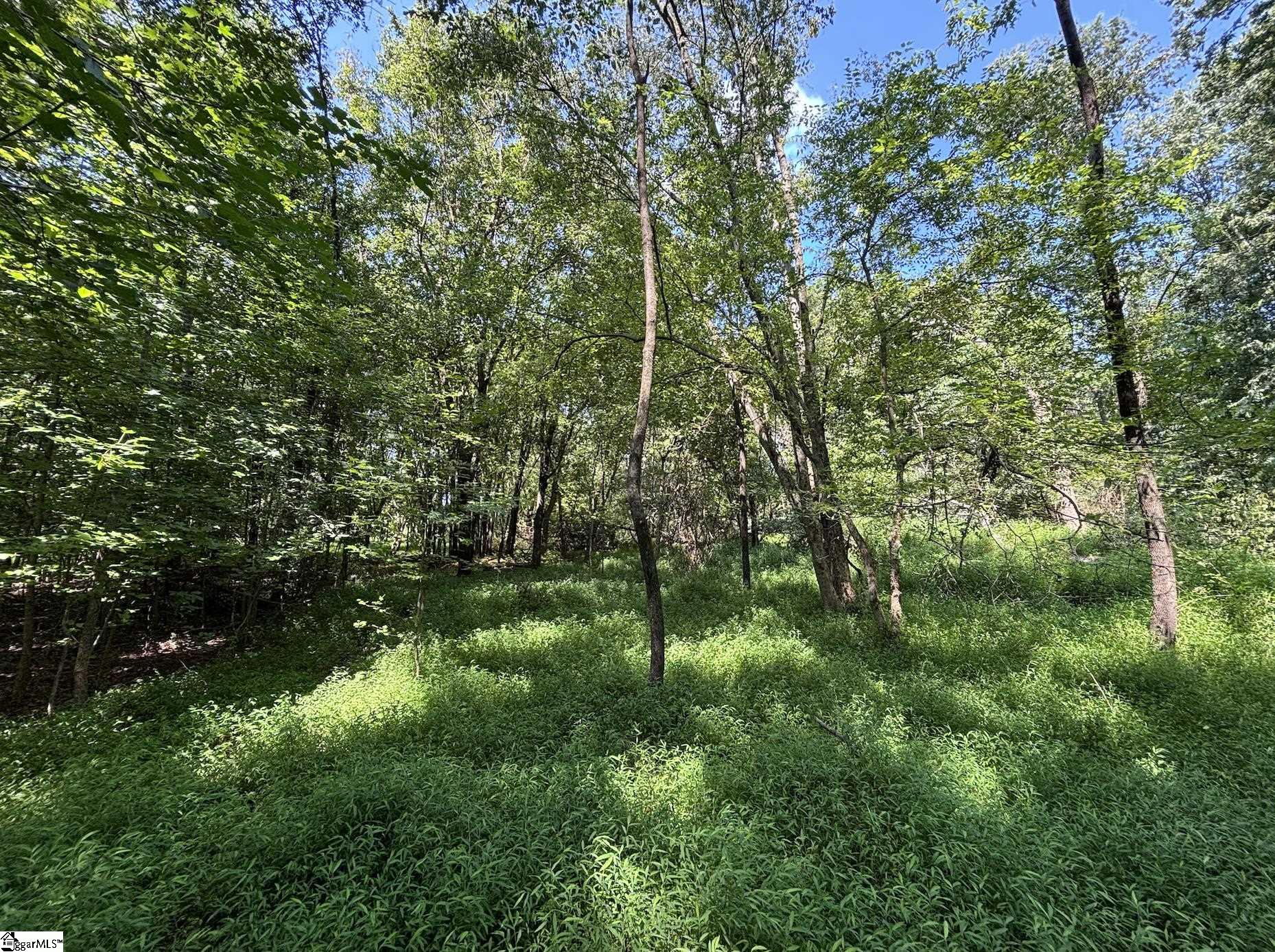 000 Wingo Road Wellford, SC 29385