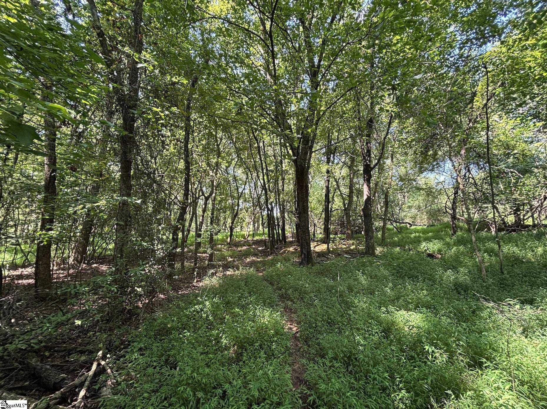 000 Wingo Road Wellford, SC 29385