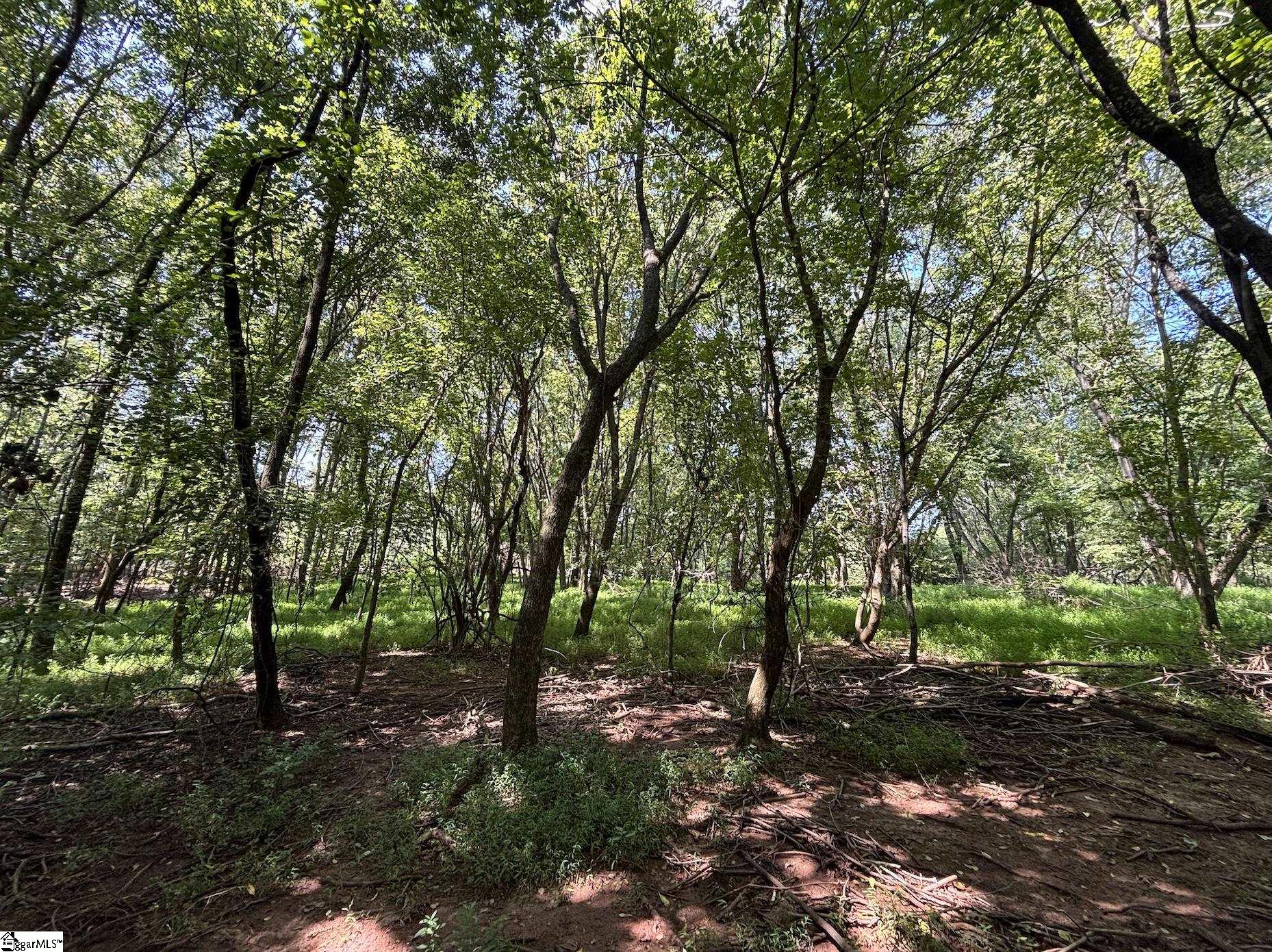 000 Wingo Road Wellford, SC 29385