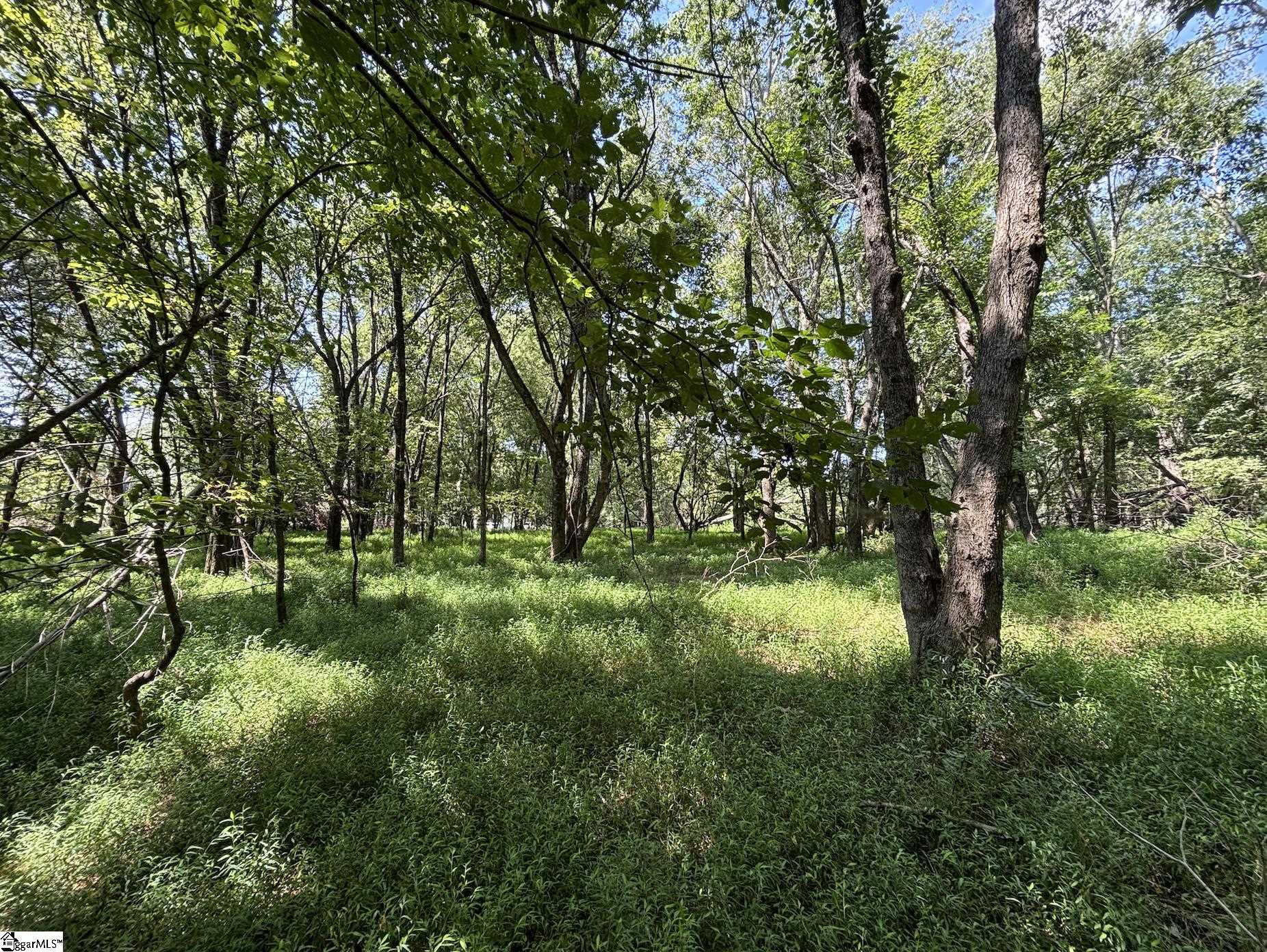 000 Wingo Road Wellford, SC 29385