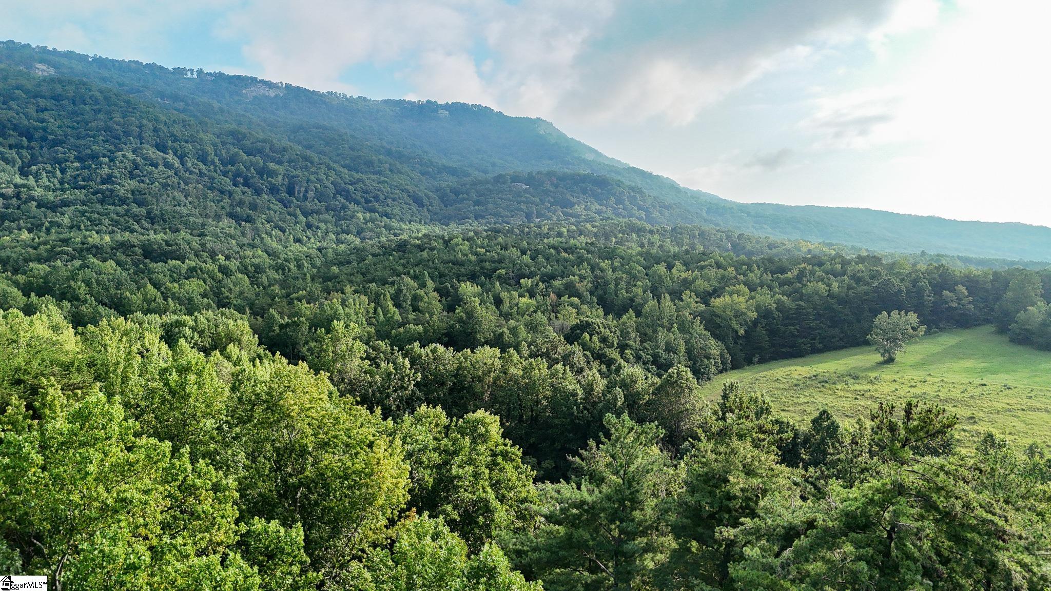 00 Pittman Road Landrum, SC 29356