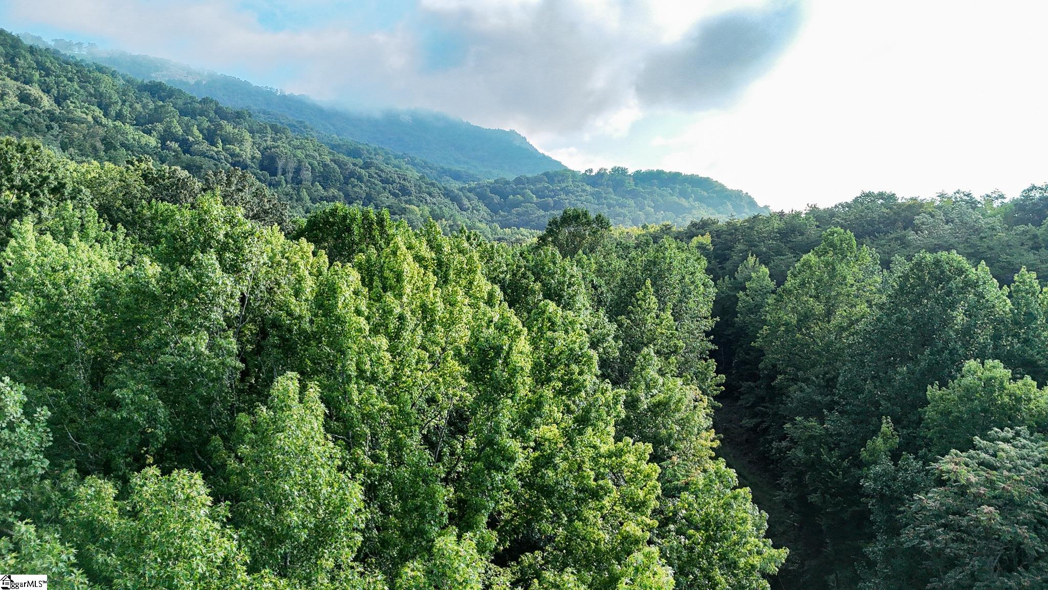 00 Pittman Road Landrum, SC 29356
