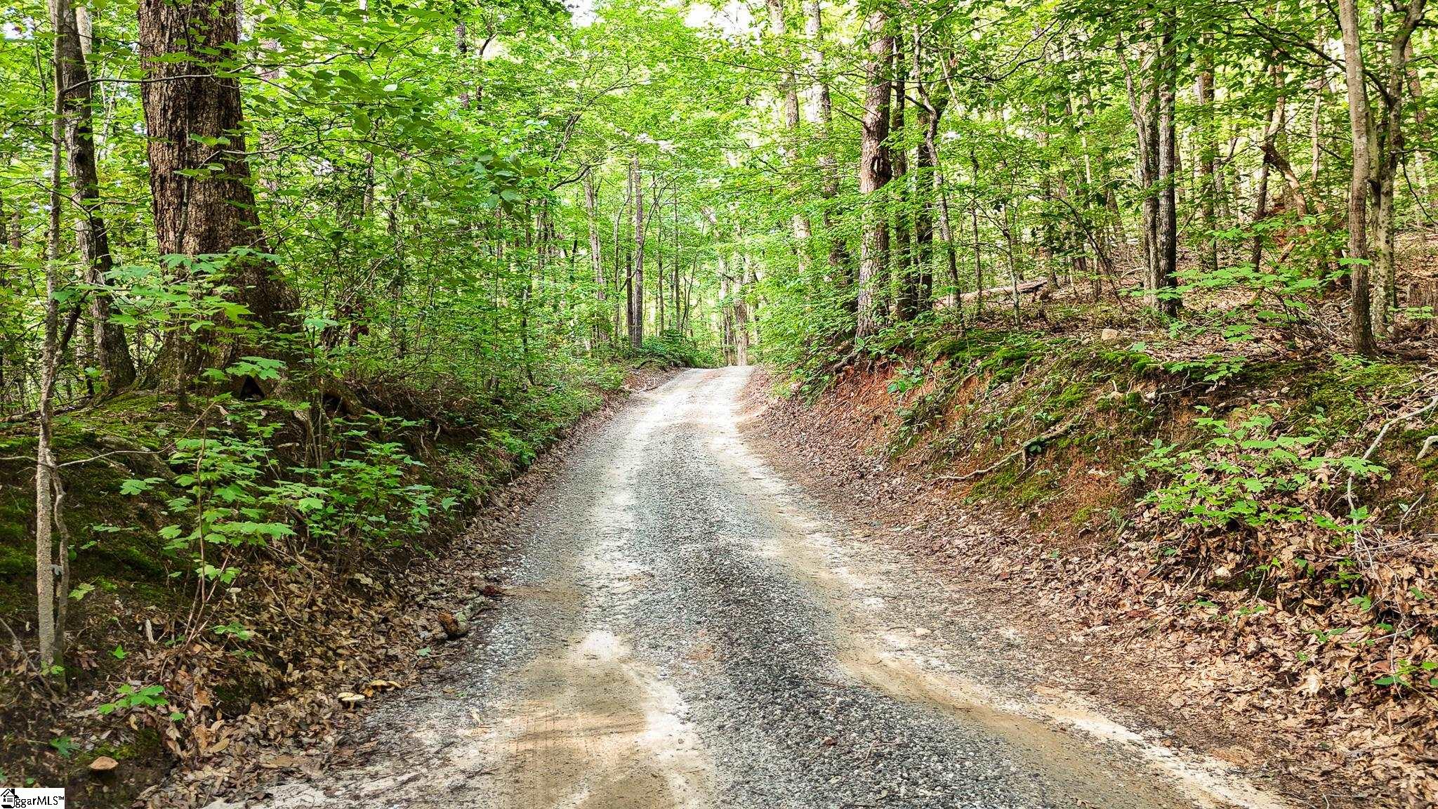 00 Pittman Road Landrum, SC 29356