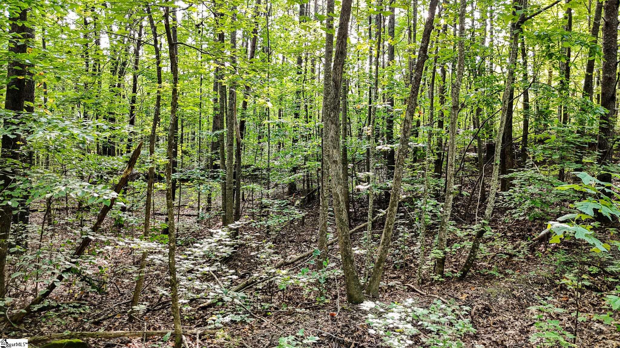 00 Pittman Road Landrum, SC 29356