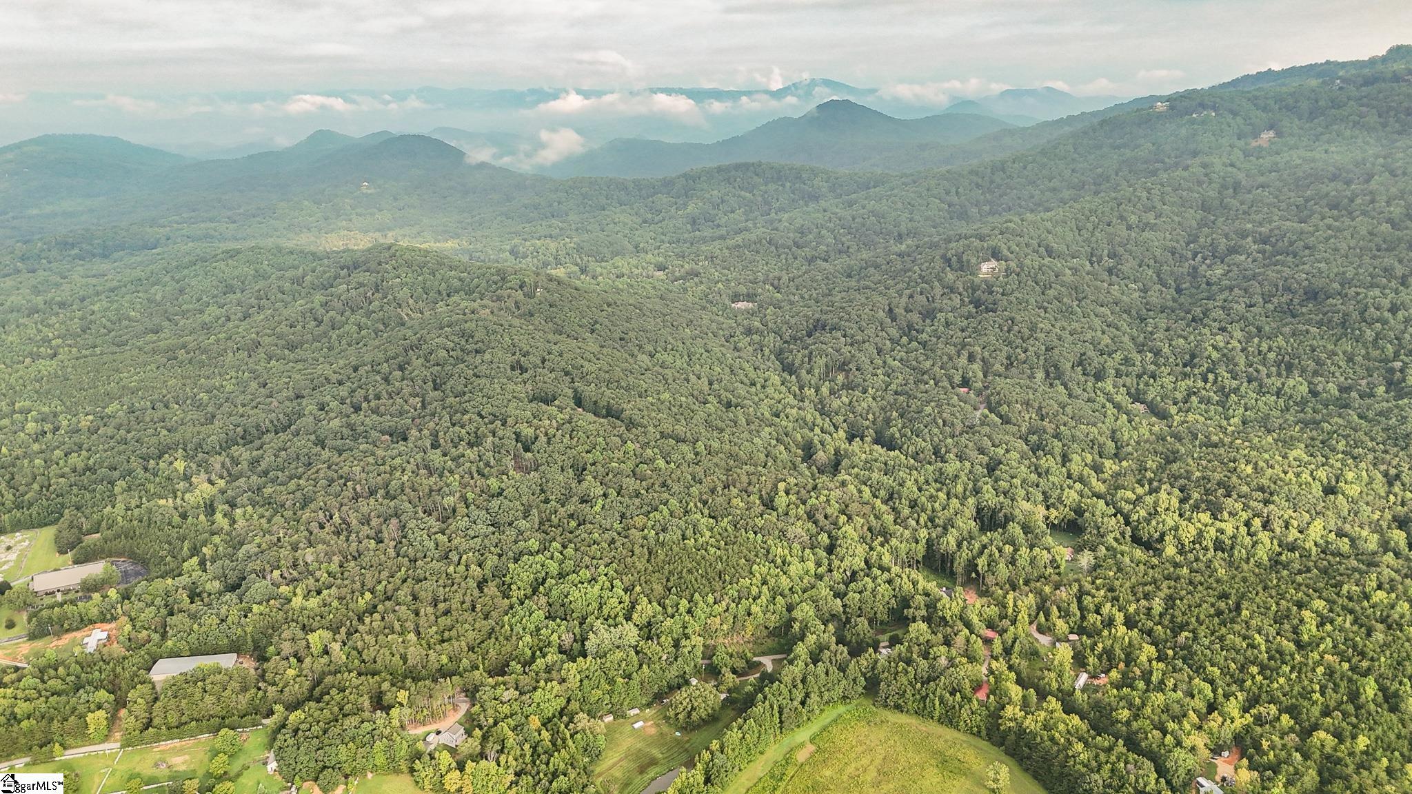 00 Pittman Road Landrum, SC 29356